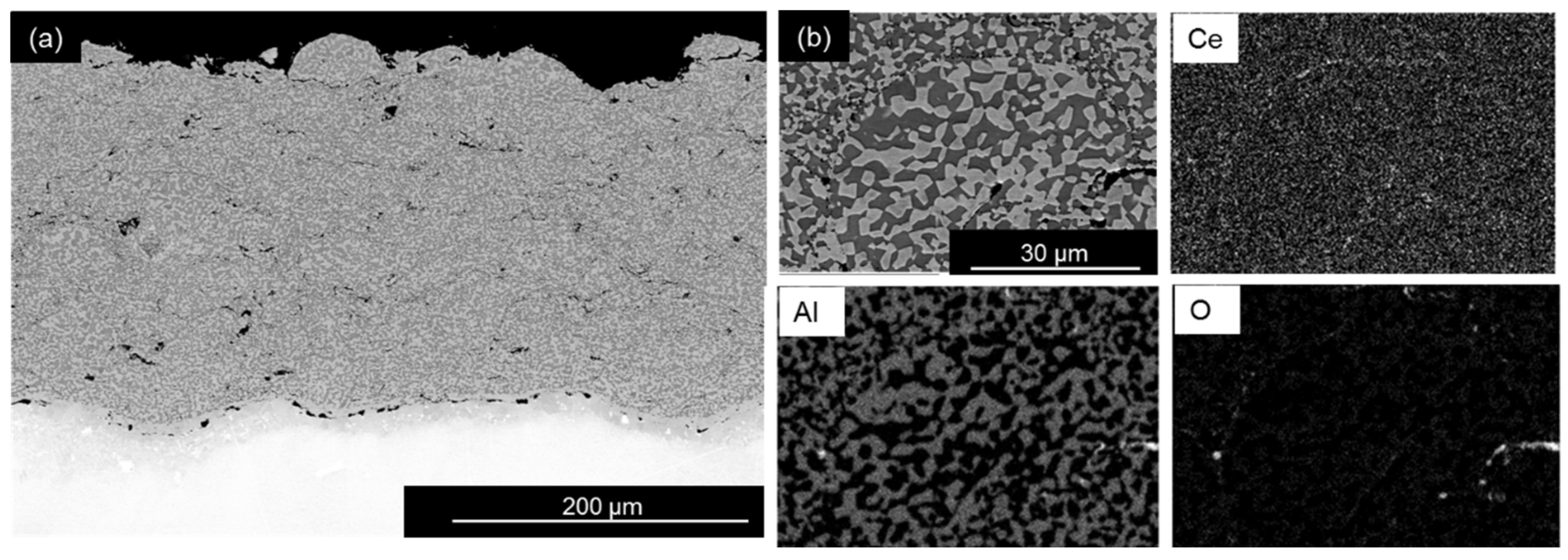 Coatings 08 00129 g003