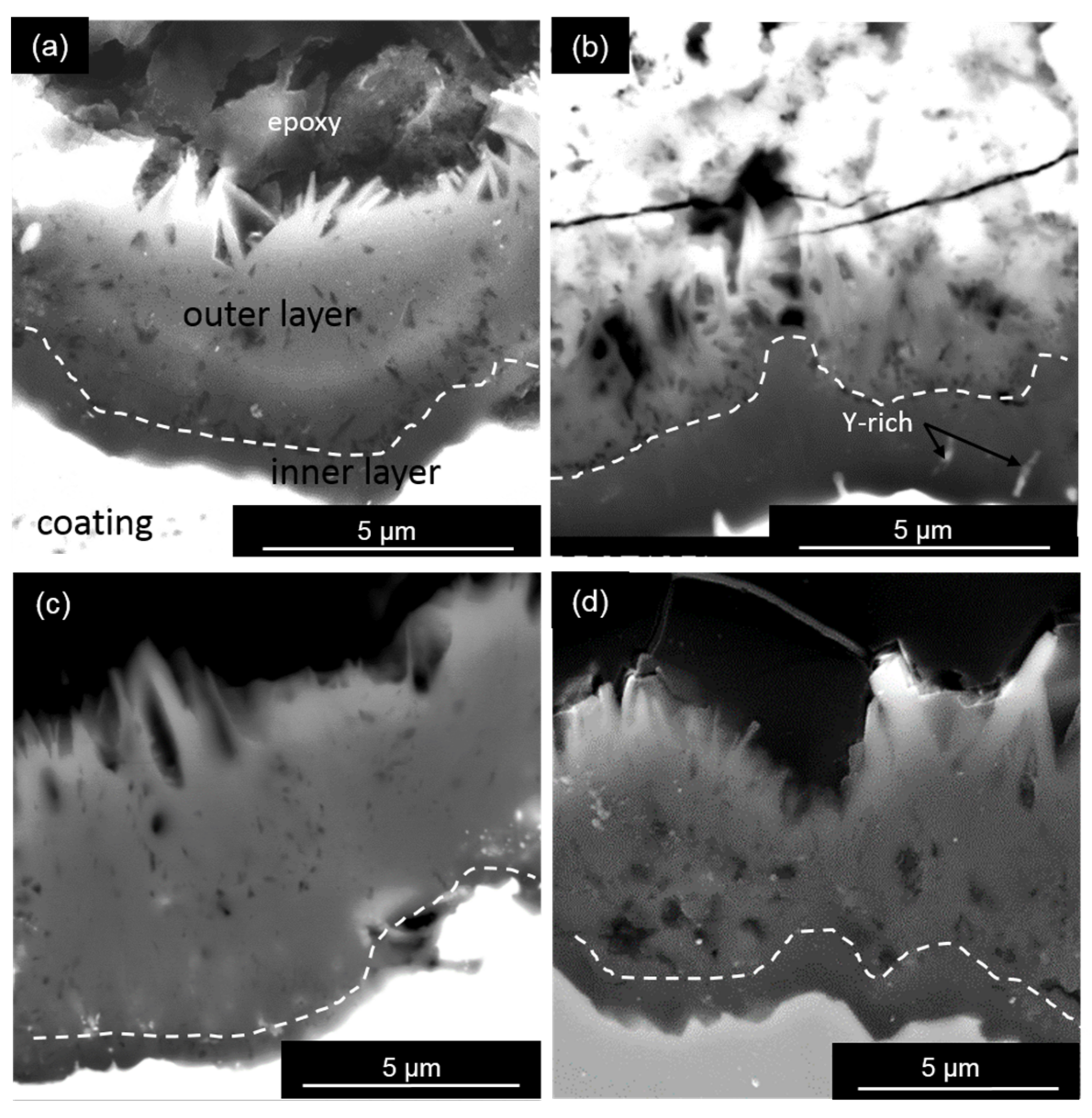 Coatings 08 00129 g004