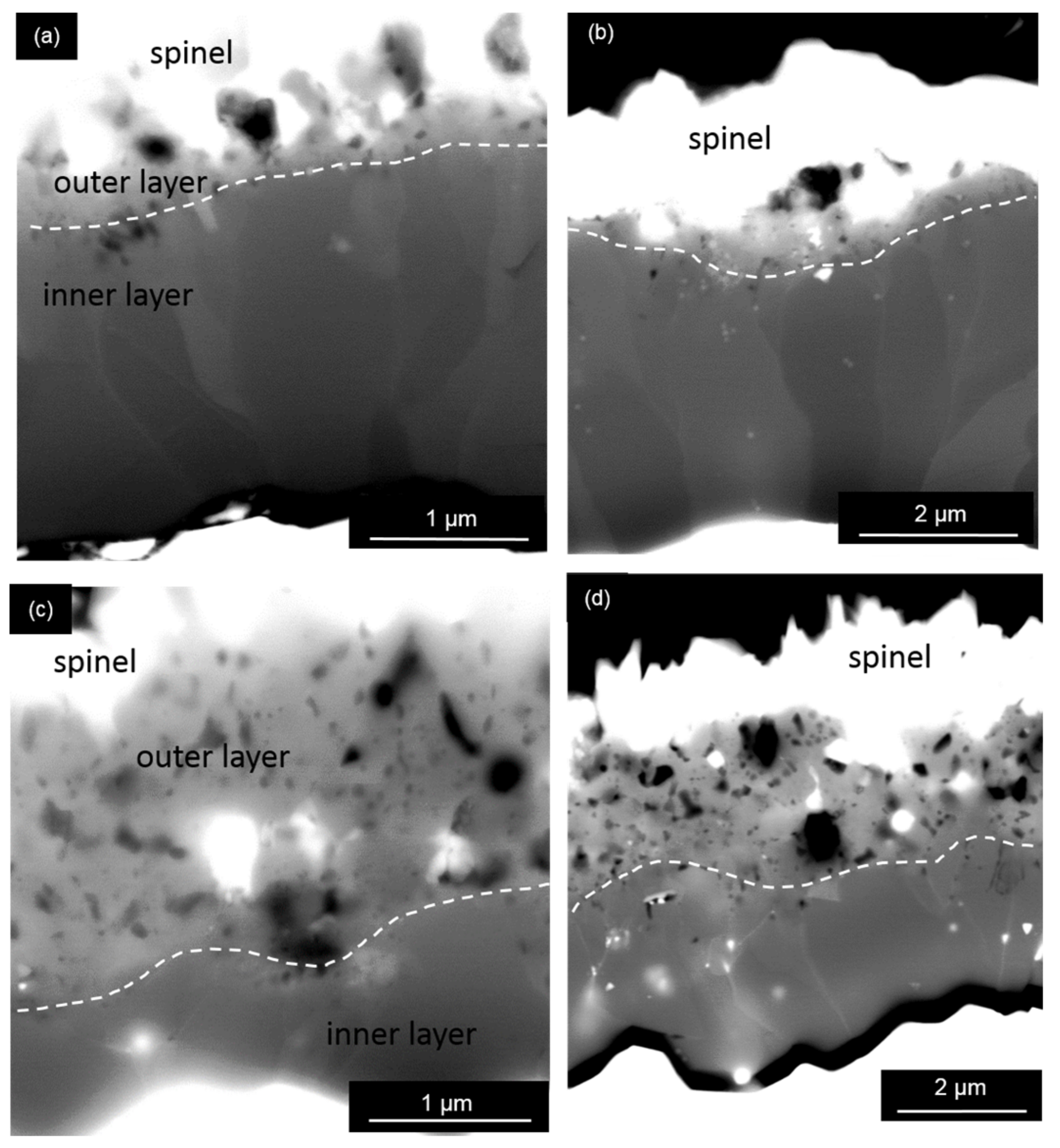 Coatings 08 00129 g005