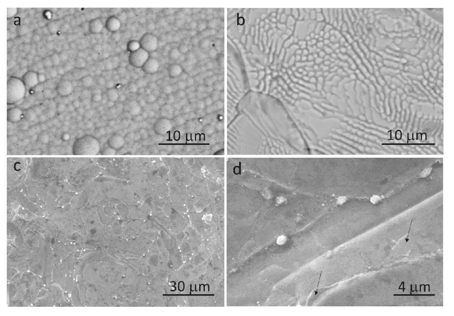Coatings 08 00130 g001