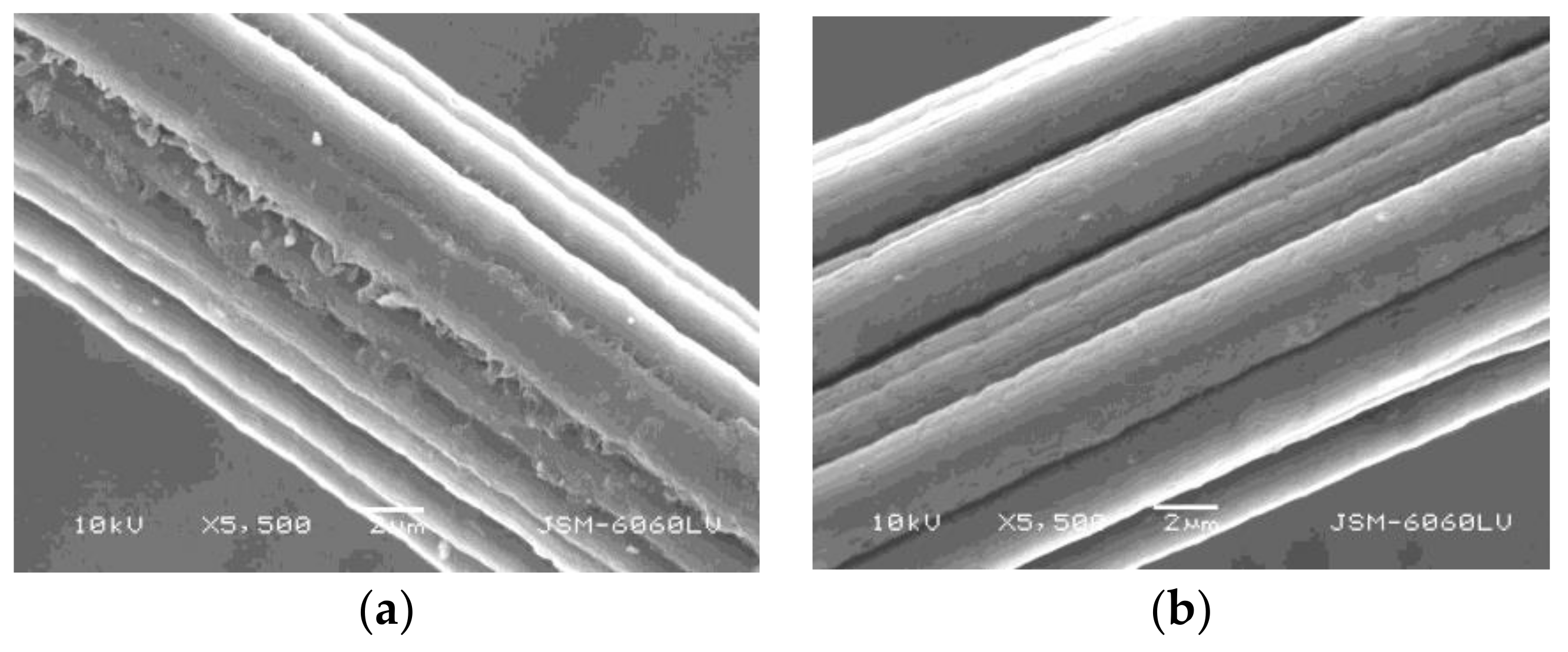 Coatings 08 00133 g007