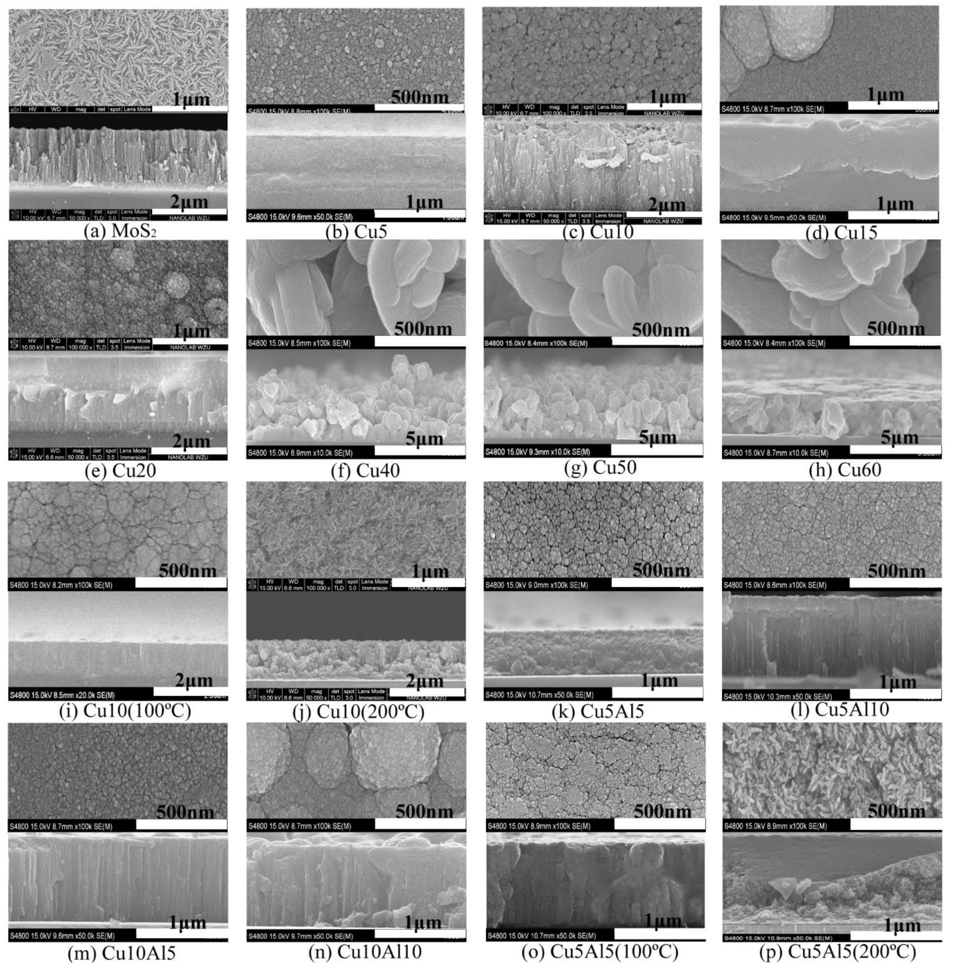 Coatings 08 00134 g001