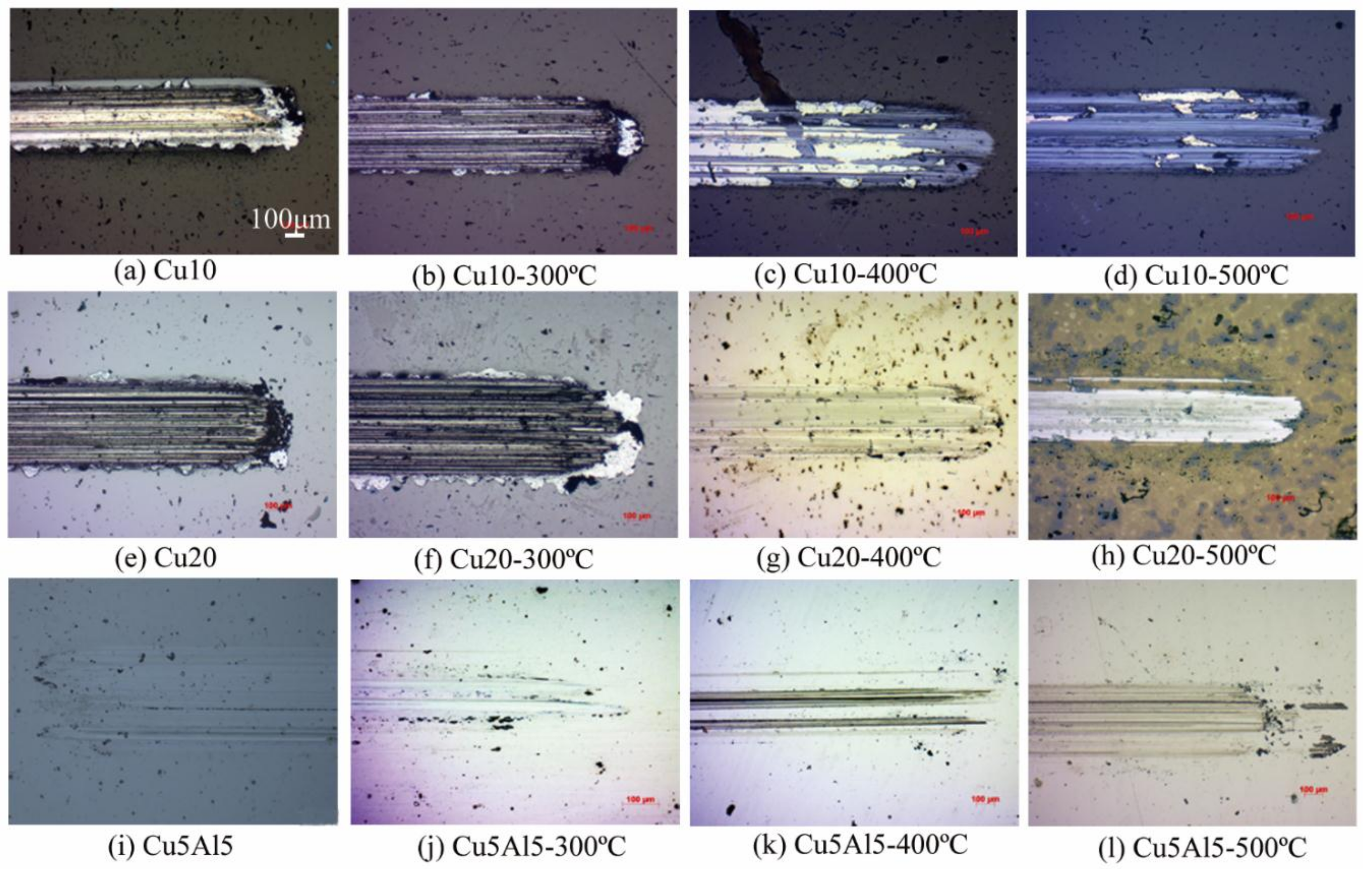 Coatings 08 00134 g007