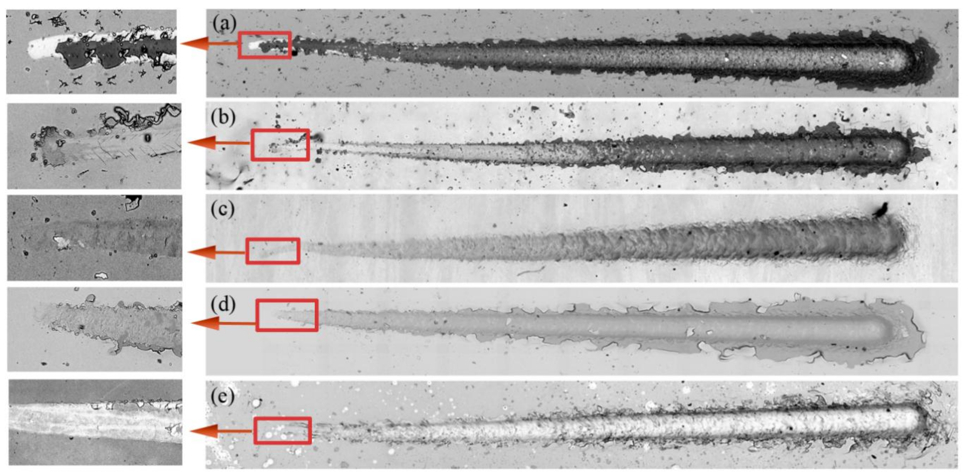 Coatings 08 00134 g008
