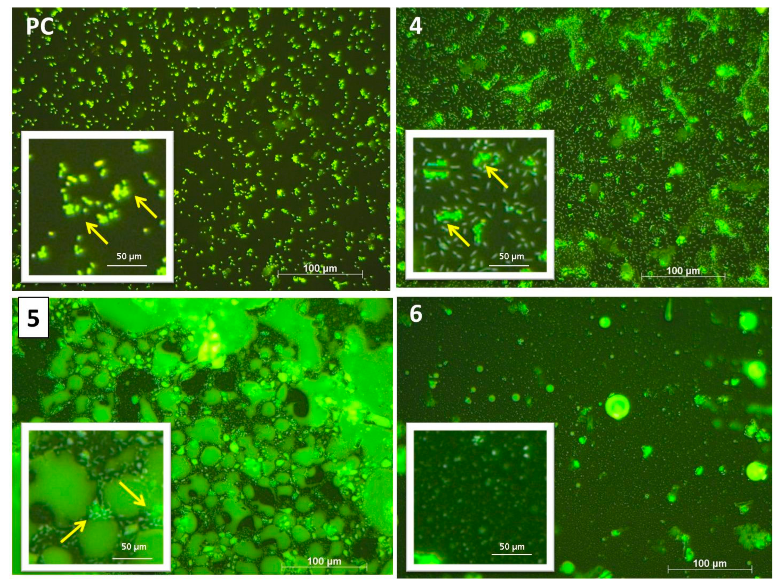 Coatings 08 00136 g003