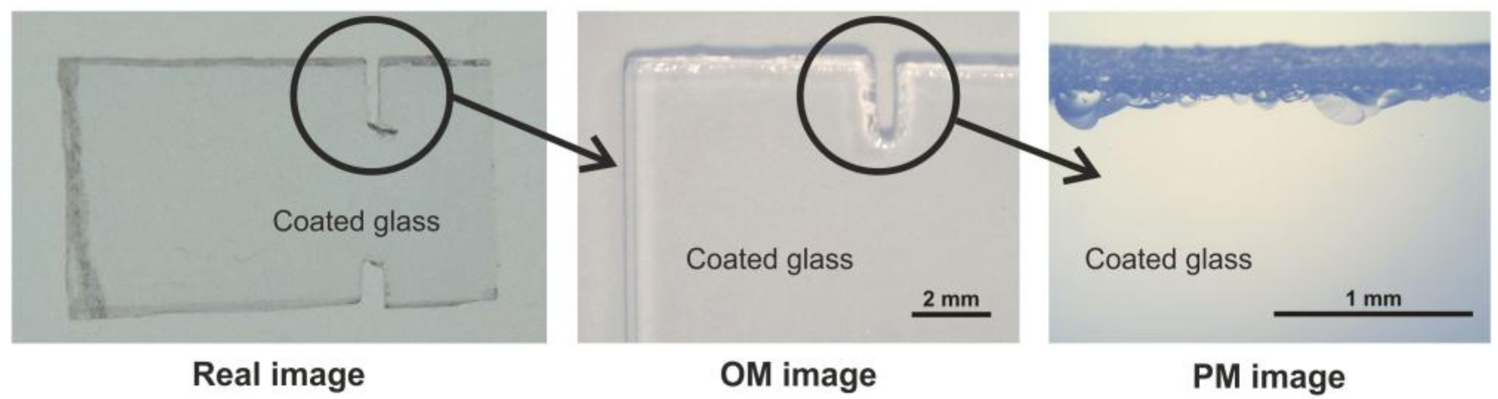 Coatings 08 00138 g005