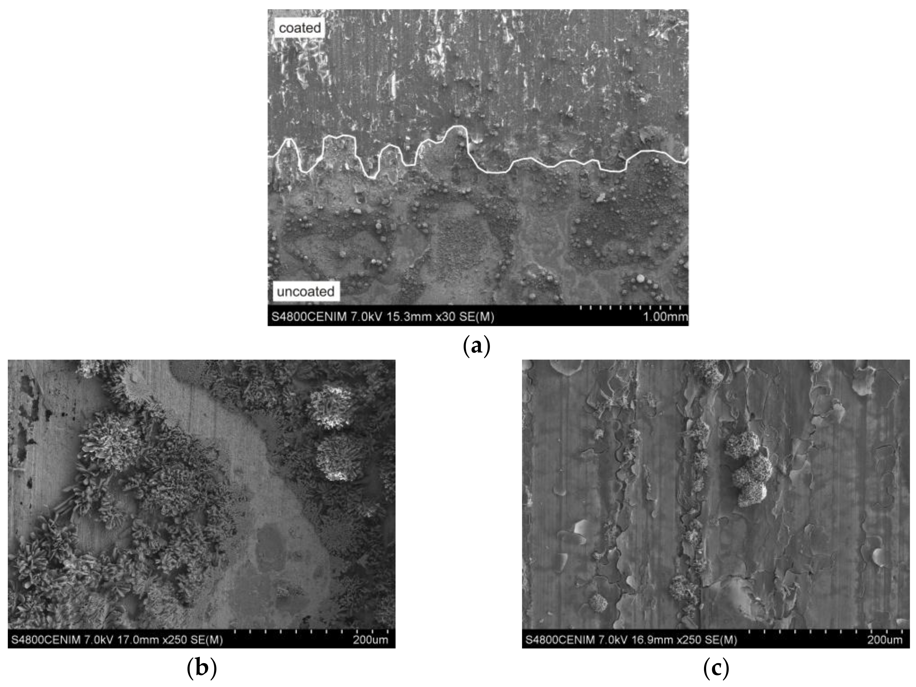 Coatings 08 00138 g007
