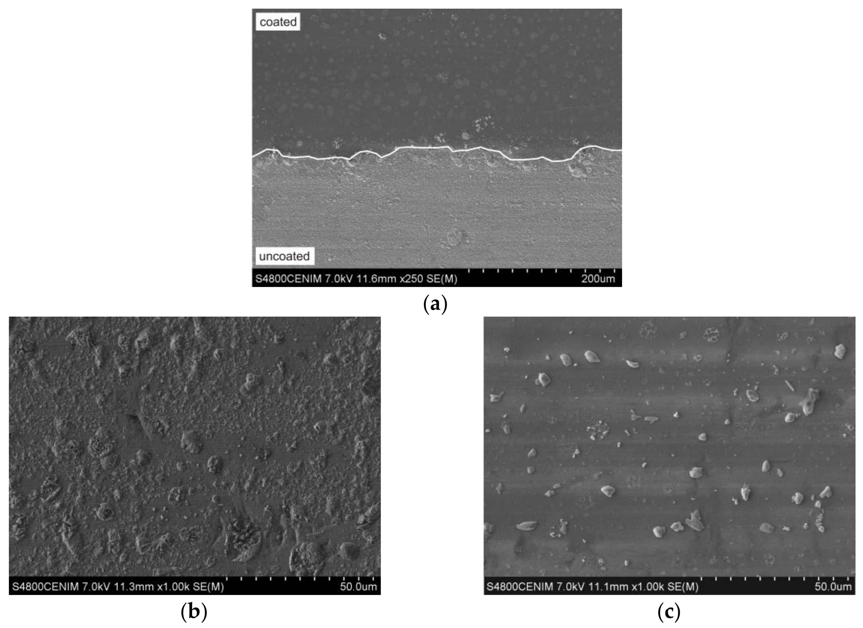 Coatings 08 00138 g008
