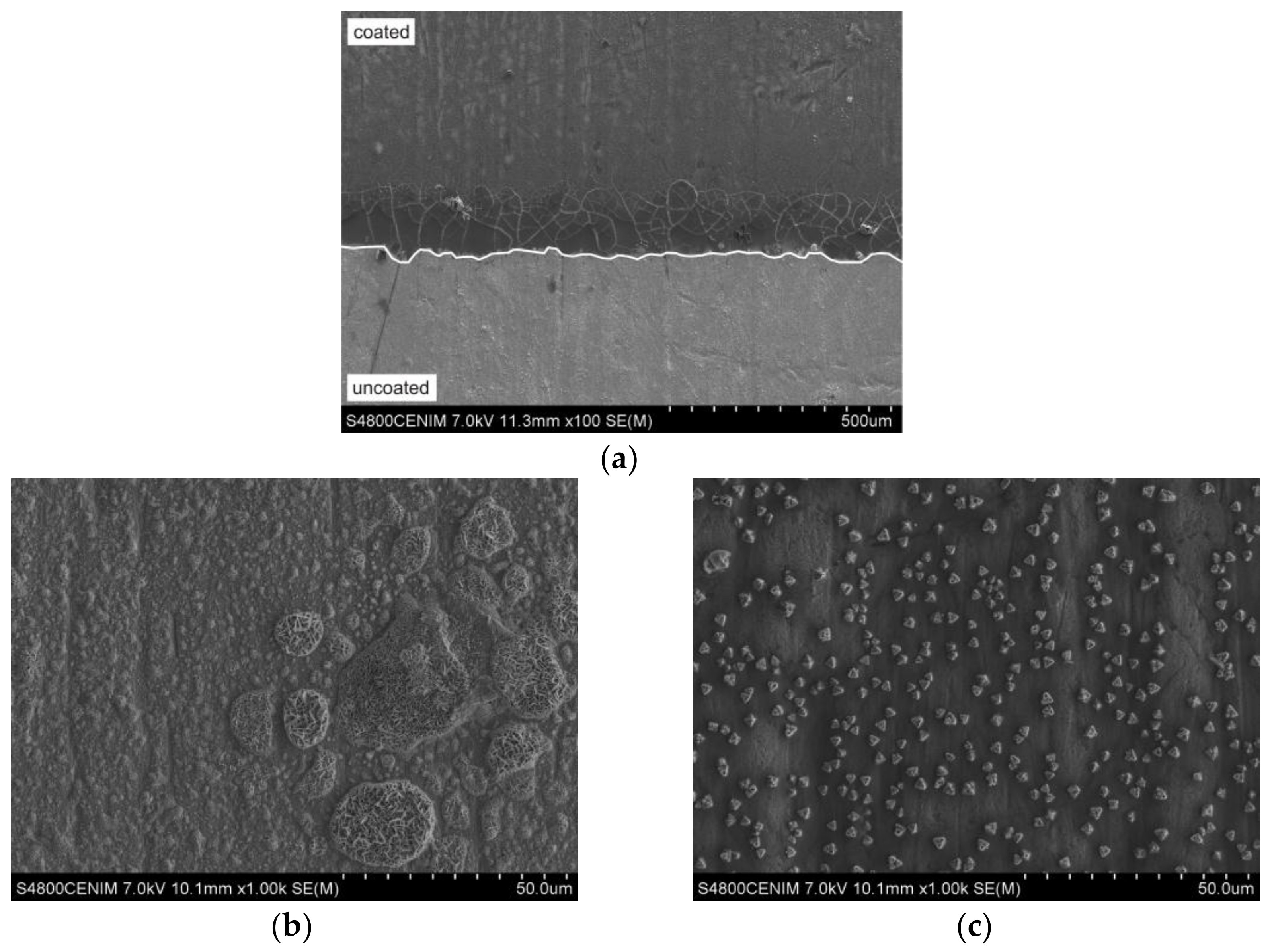 Coatings 08 00138 g009
