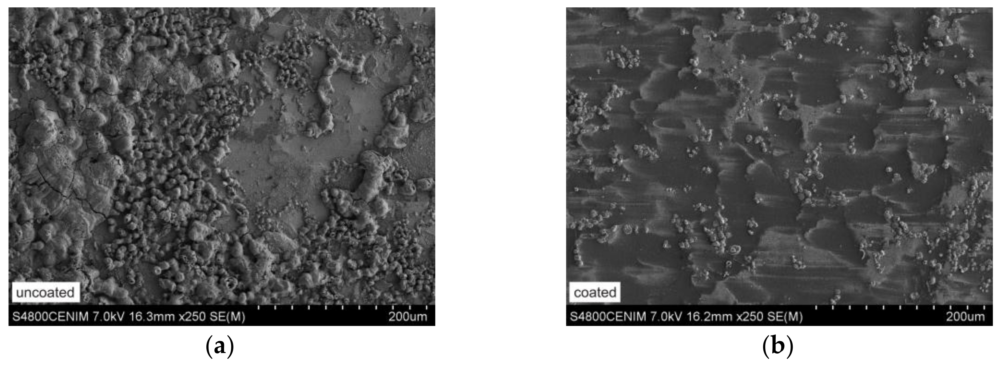 Coatings 08 00138 g010