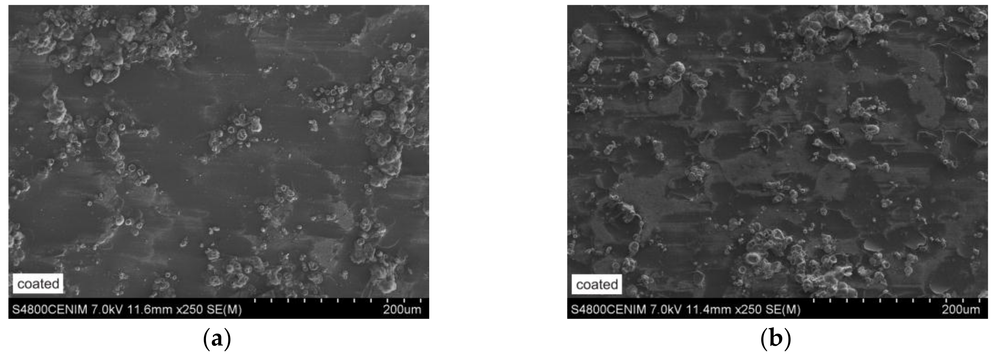 Coatings 08 00138 g011