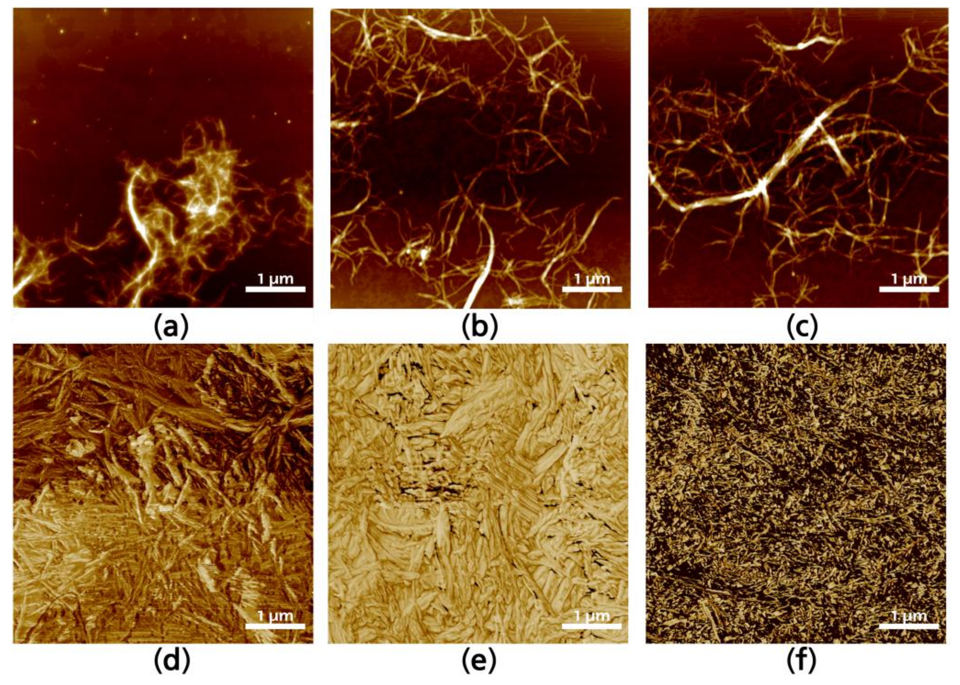 Coatings 08 00139 g003