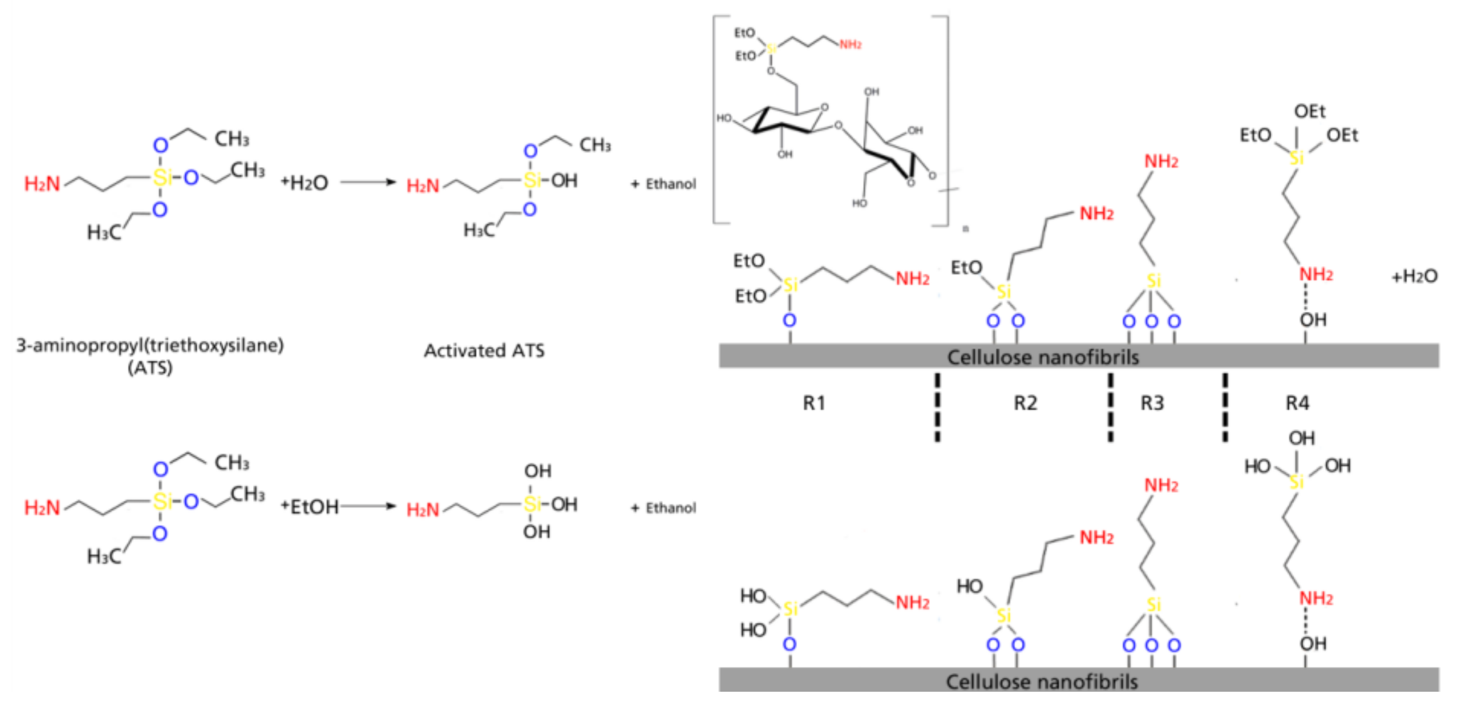 Coatings 08 00139 sch001