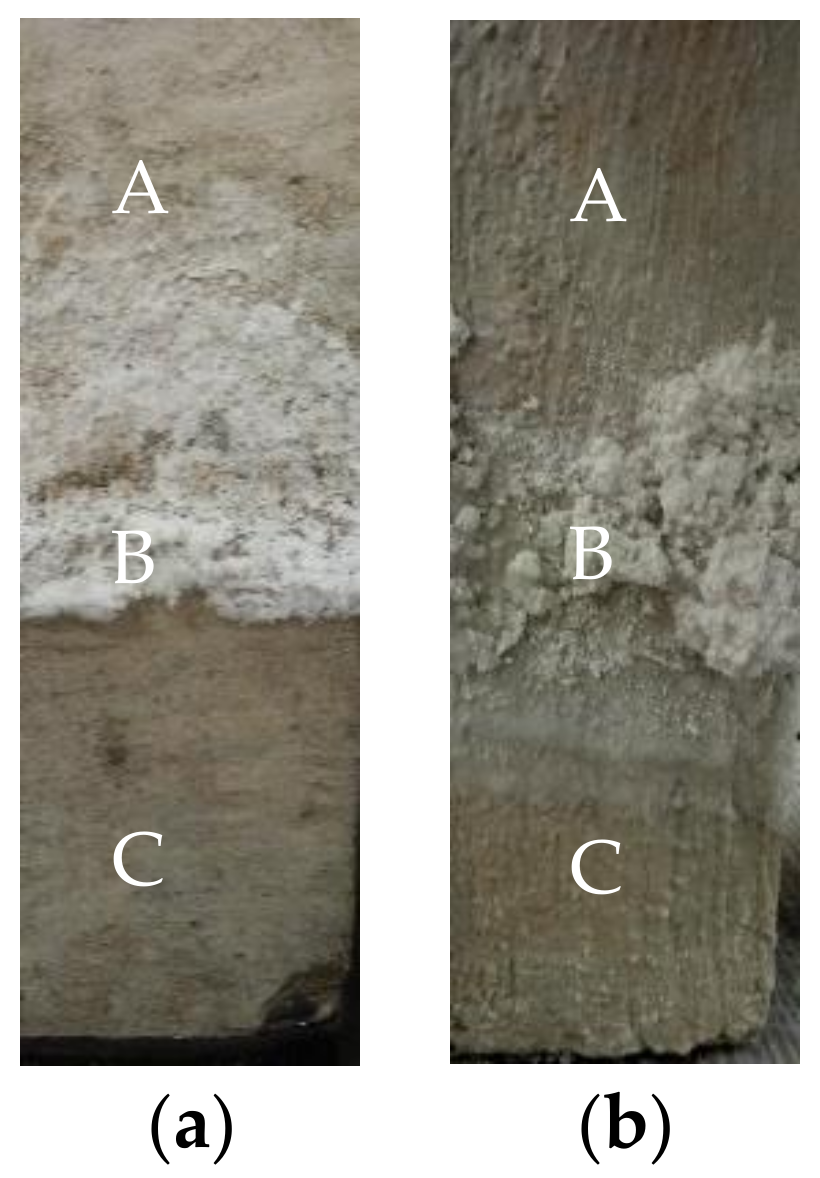 Coatings 08 00140 g003