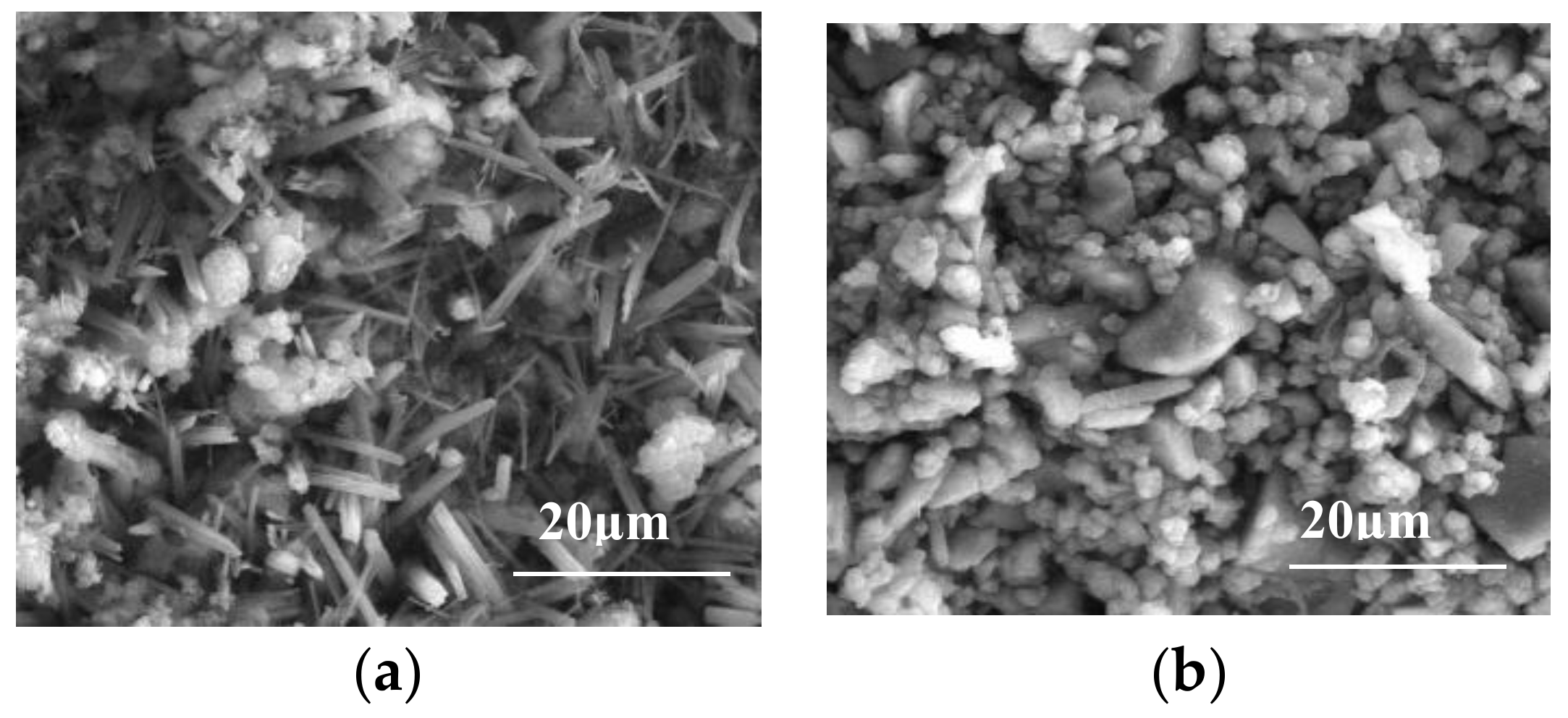 Coatings 08 00140 g007