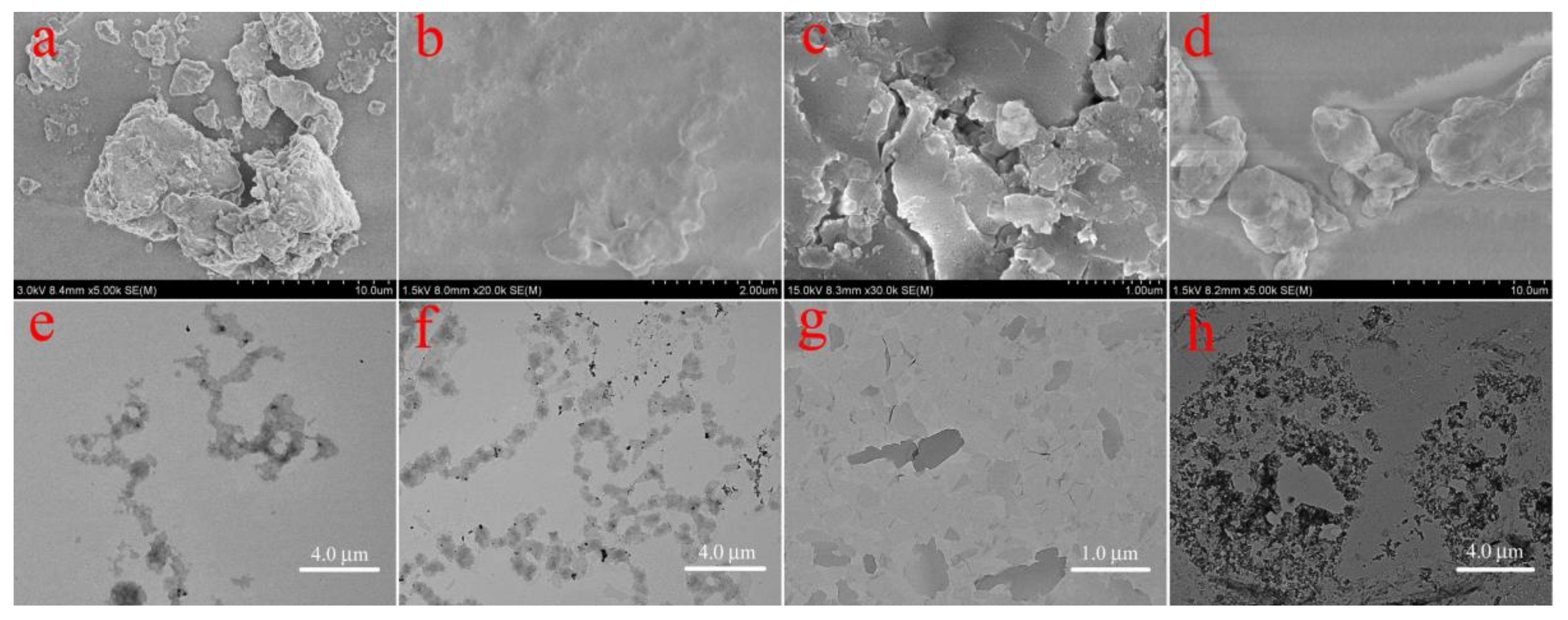 Coatings 08 00141 g004 Coatings 08 00141 g004