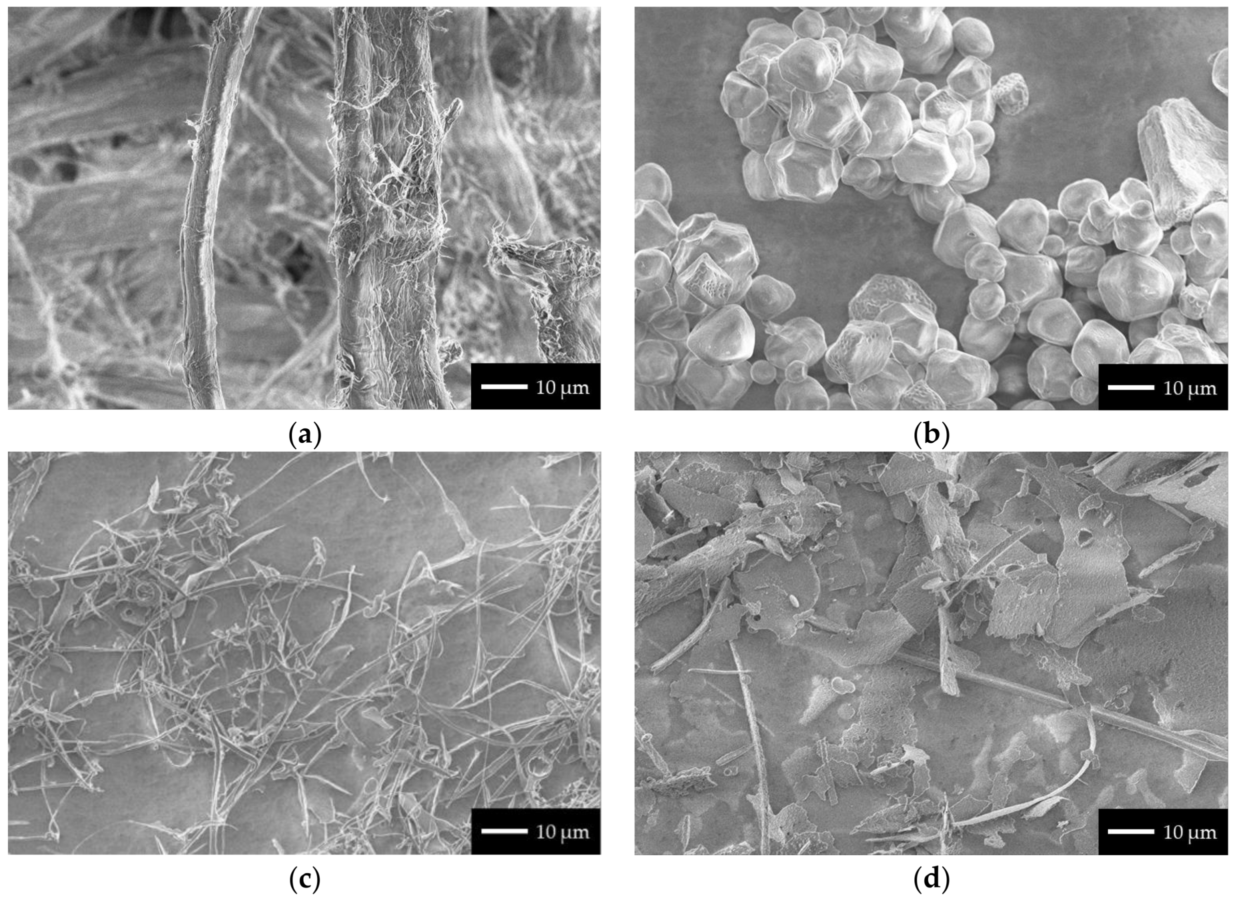 Coatings 08 00142 g001
