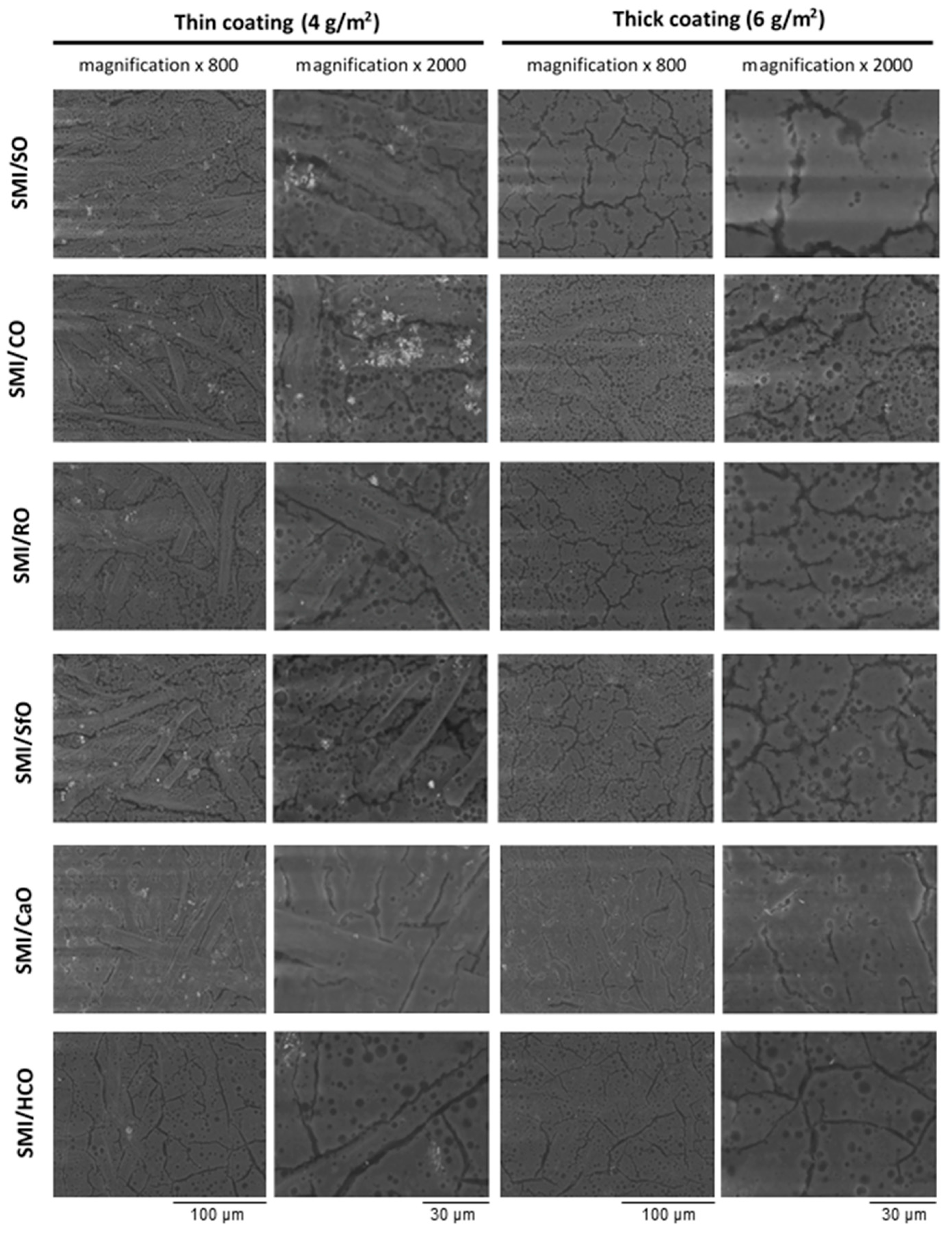 Coatings 08 00154 g001