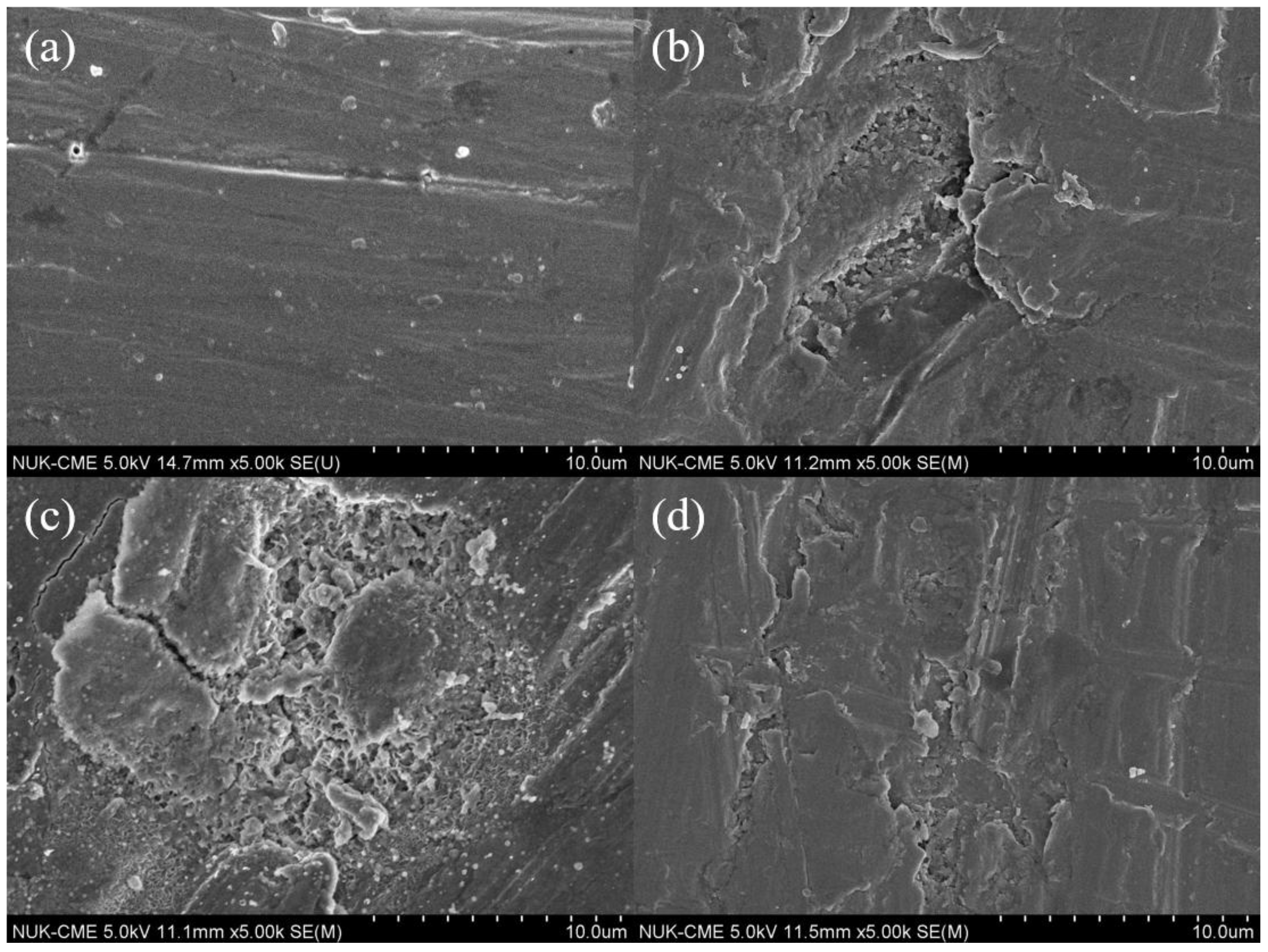 Coatings 08 00155 g005a Coatings 08 00155 g005a