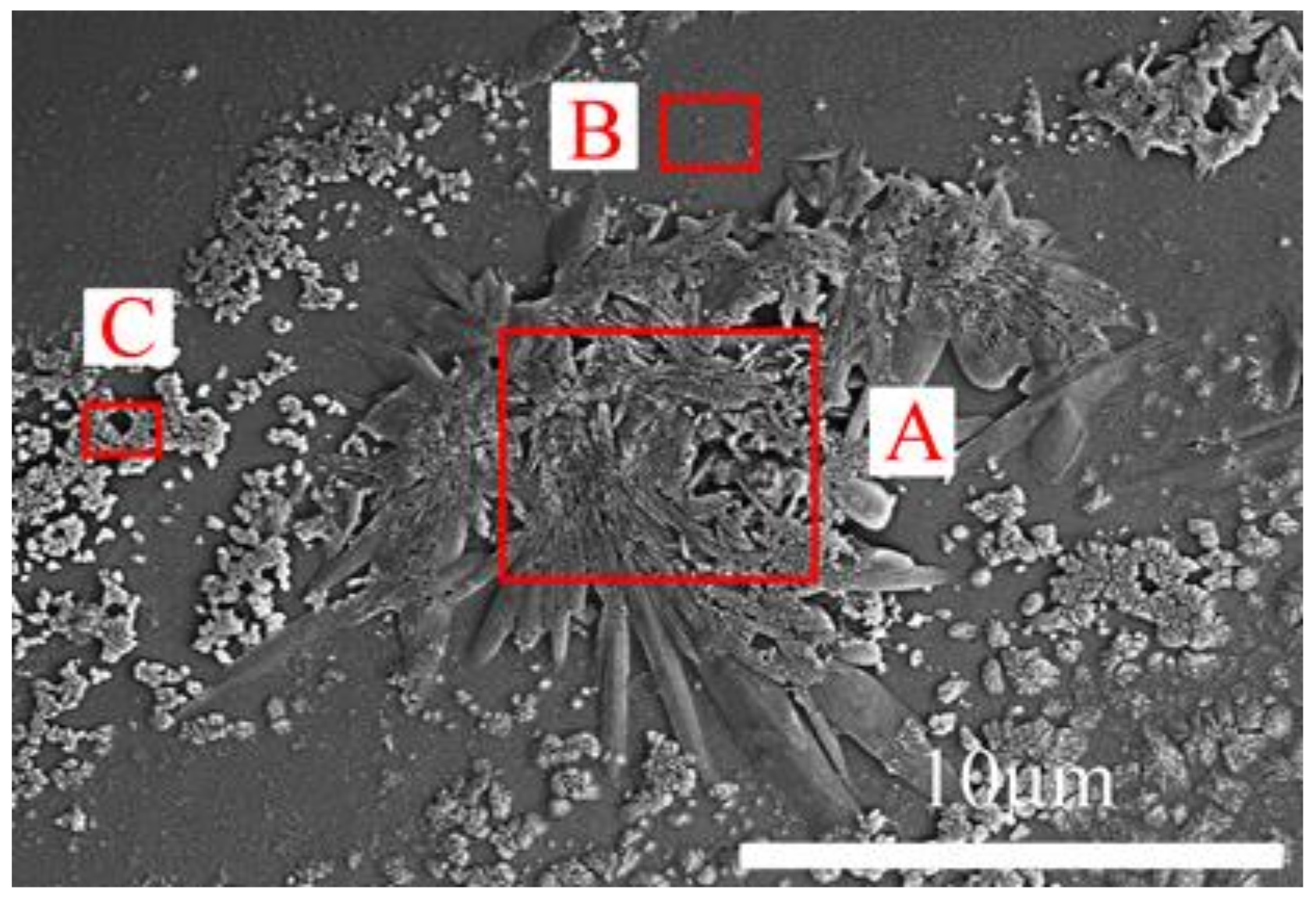 Coatings 08 00158 g001