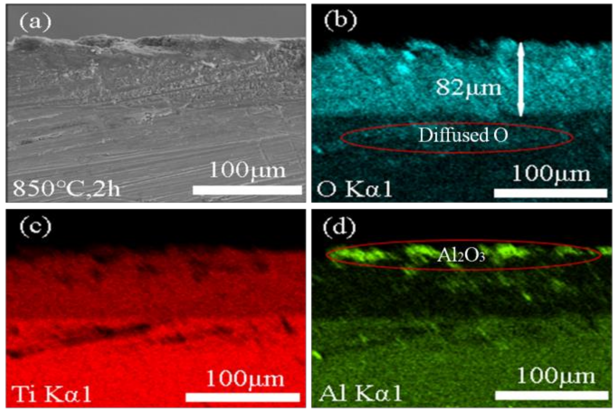 Coatings 08 00158 g004
