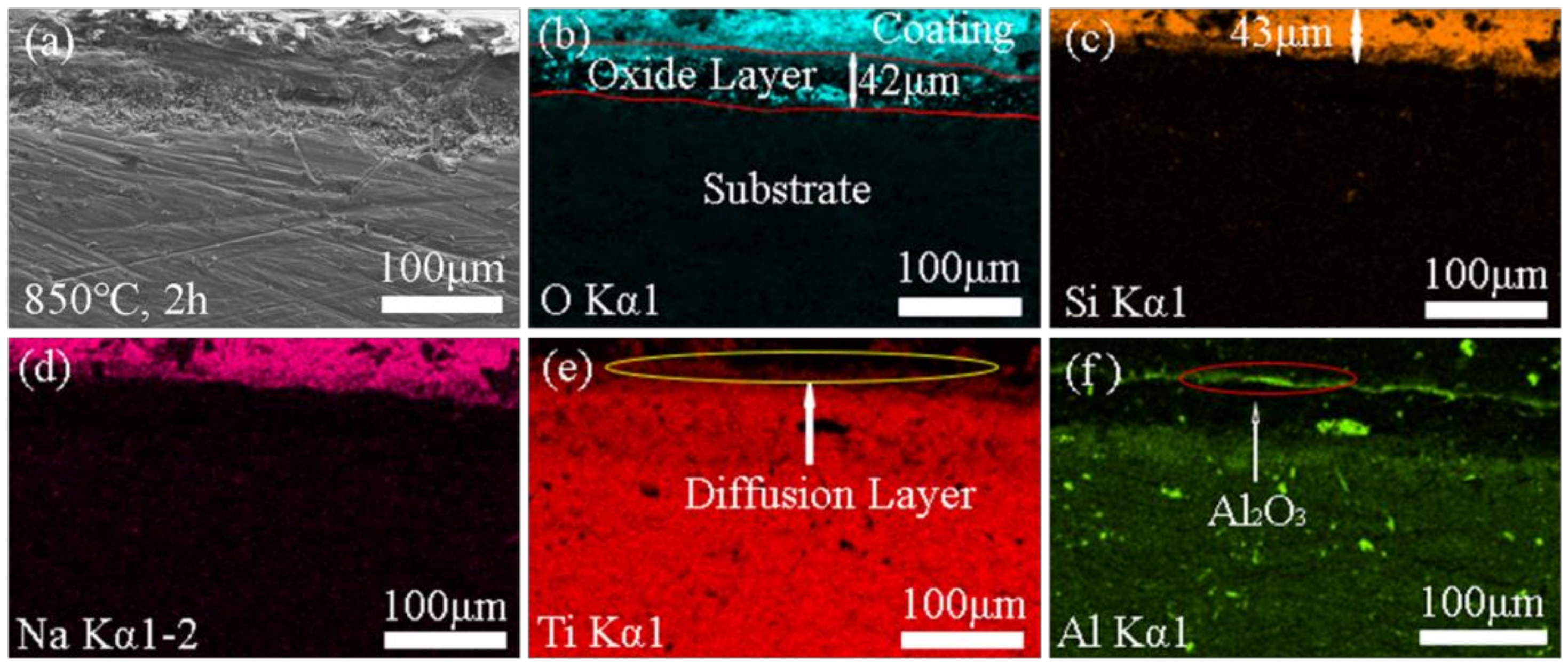 Coatings 08 00158 g005