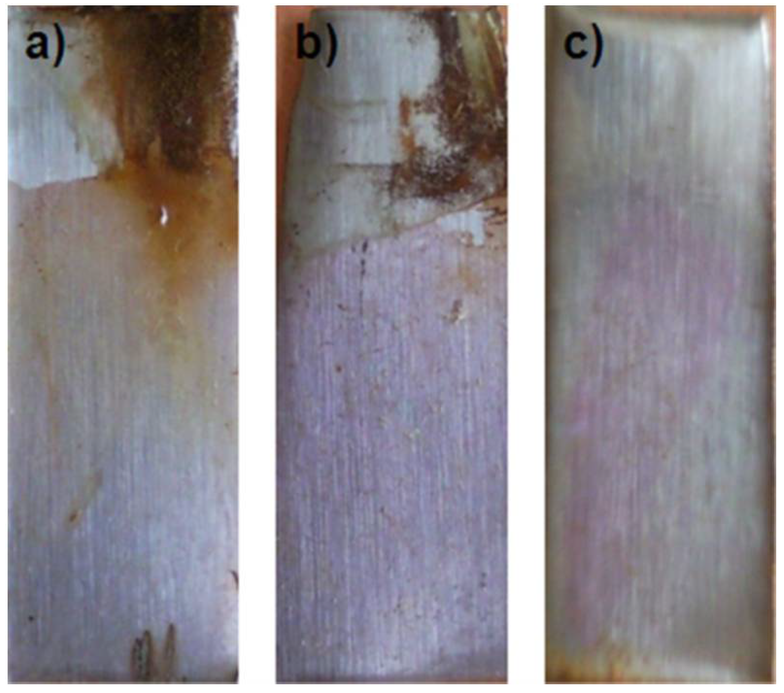 Coatings 08 00162 g002