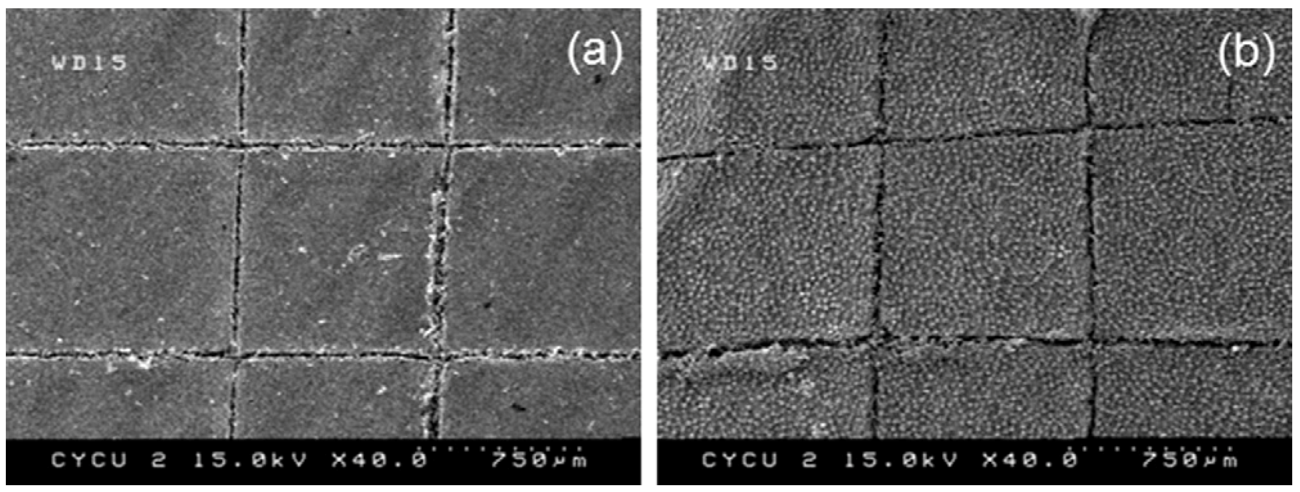 Coatings 08 00162 g004
