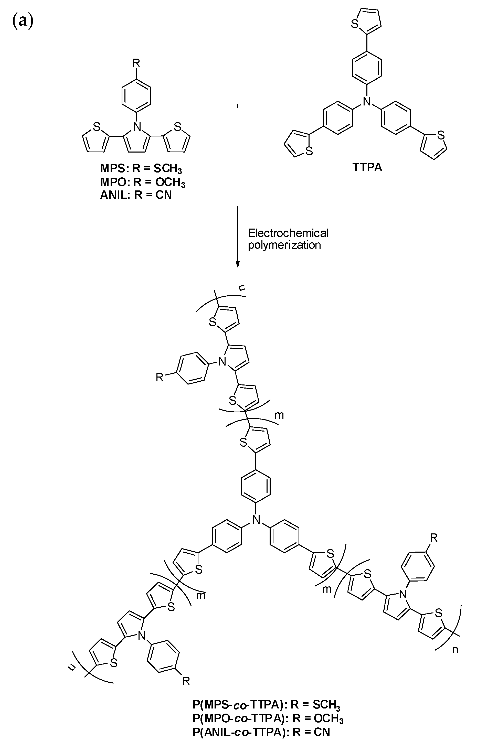 Coatings 08 00164 g003a