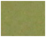 Coatings 08 00164 i005