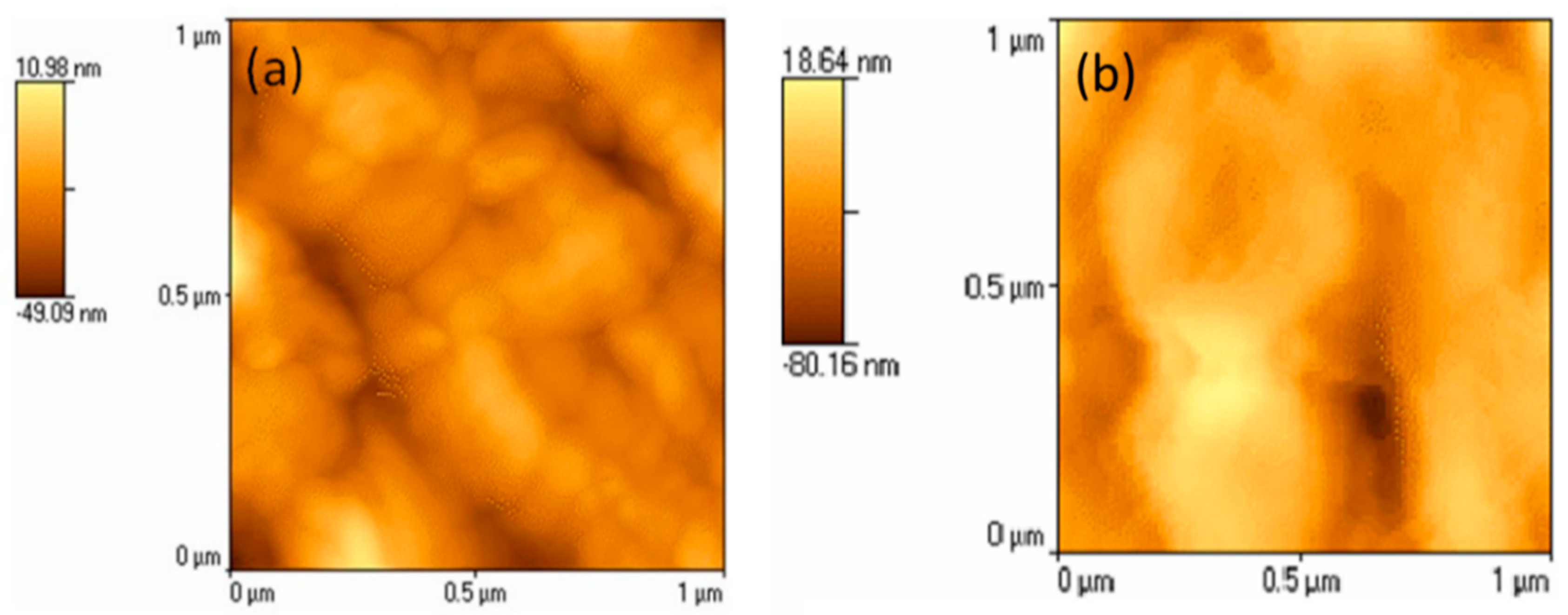 Coatings 08 00167 g005