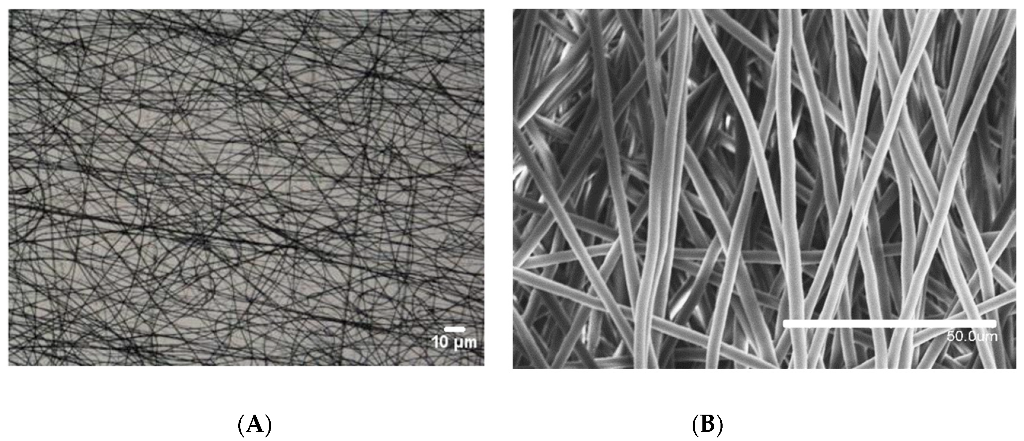 Coatings 08 00173 g003