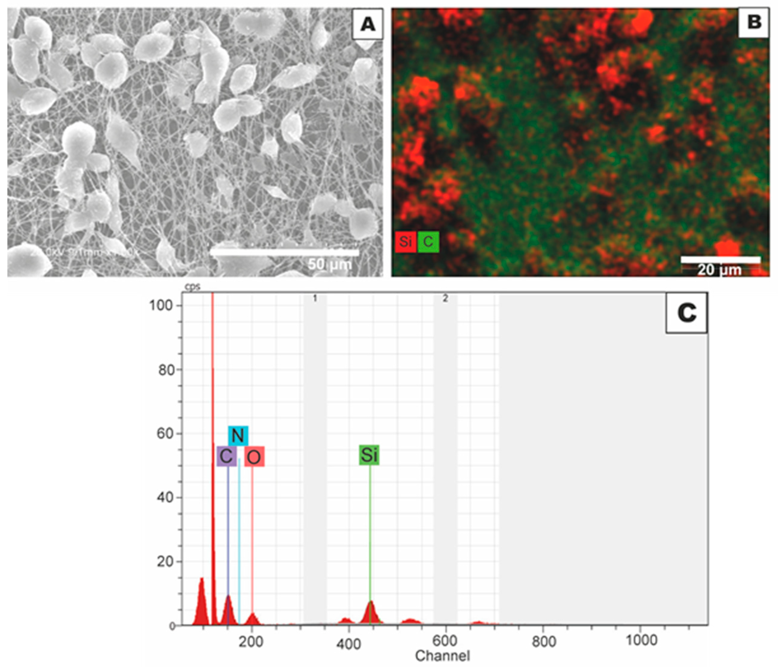 Coatings 08 00173 g005