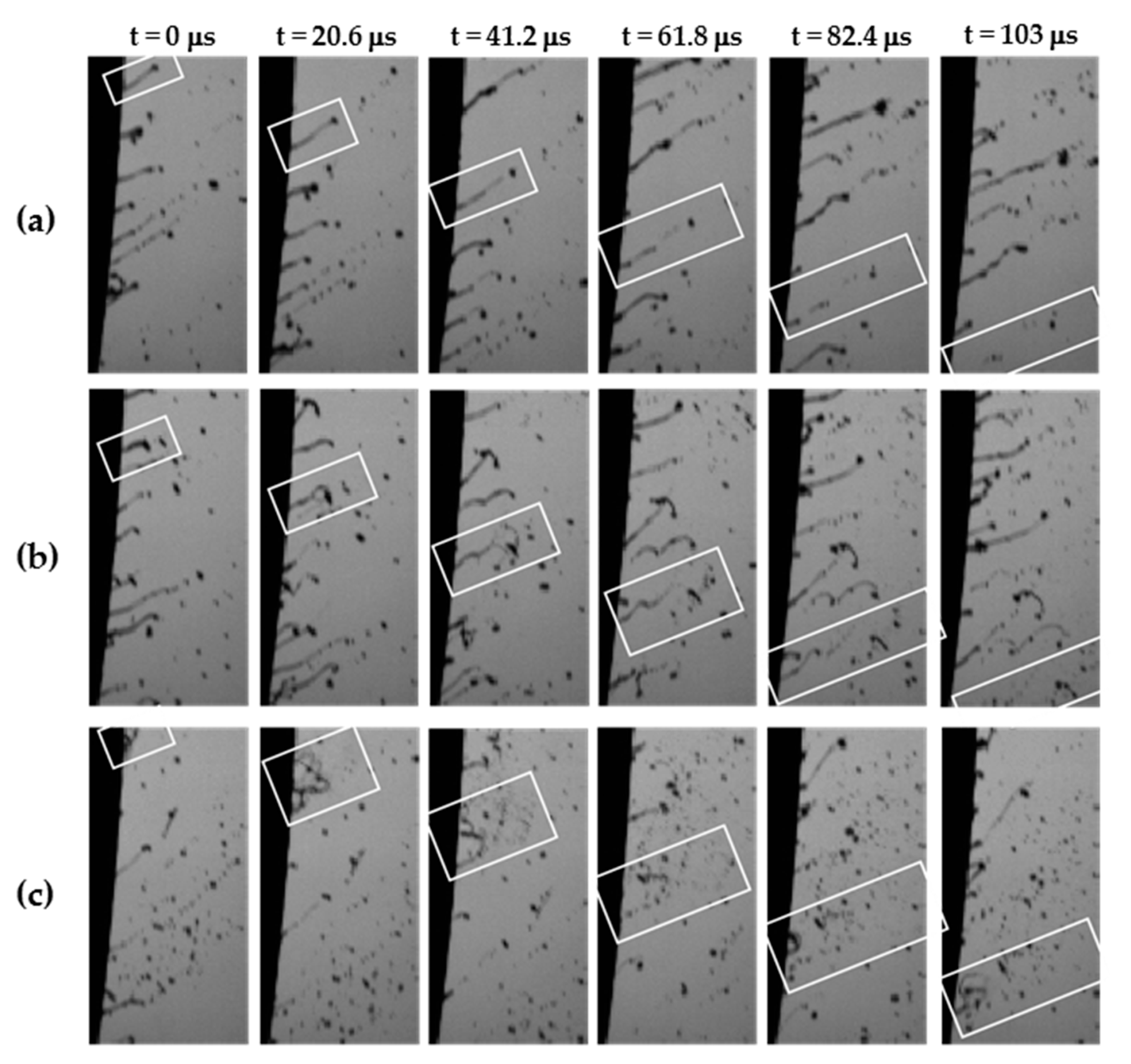 Coatings 08 00174 g007