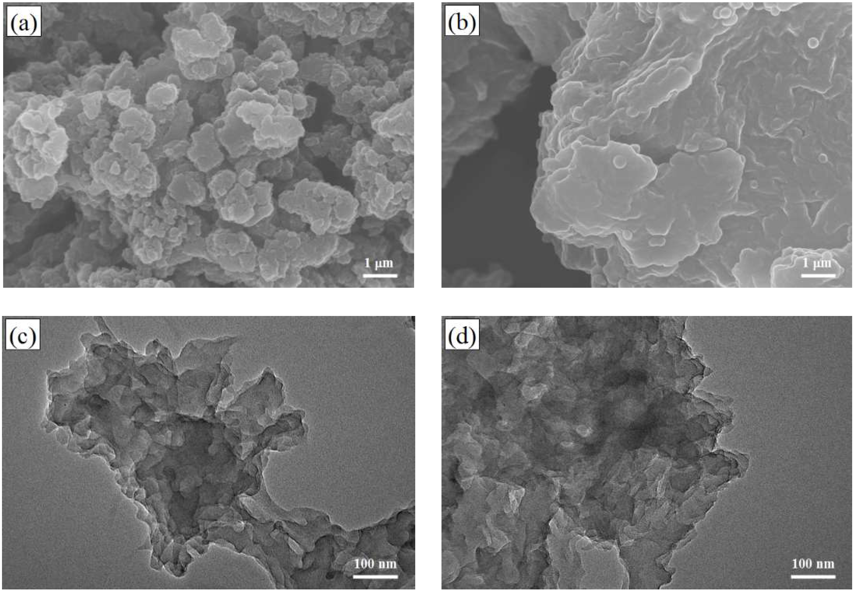 Coatings 08 00180 g004