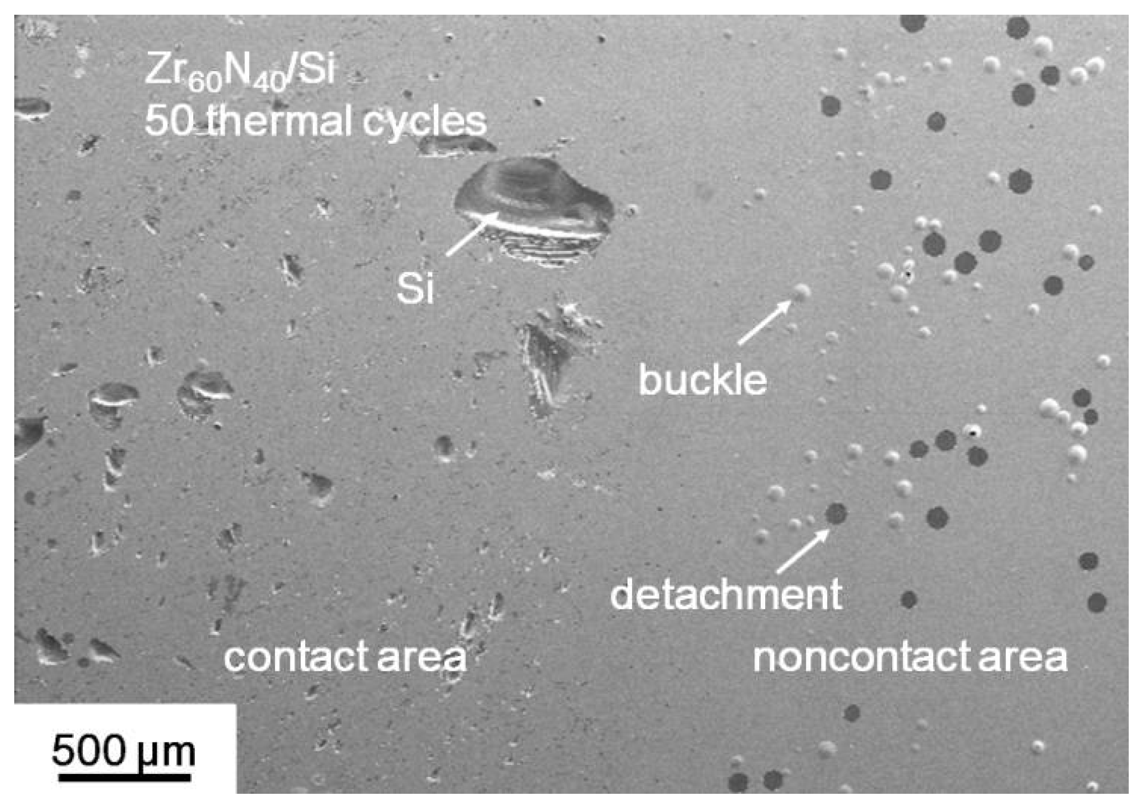 Coatings 08 00181 g010