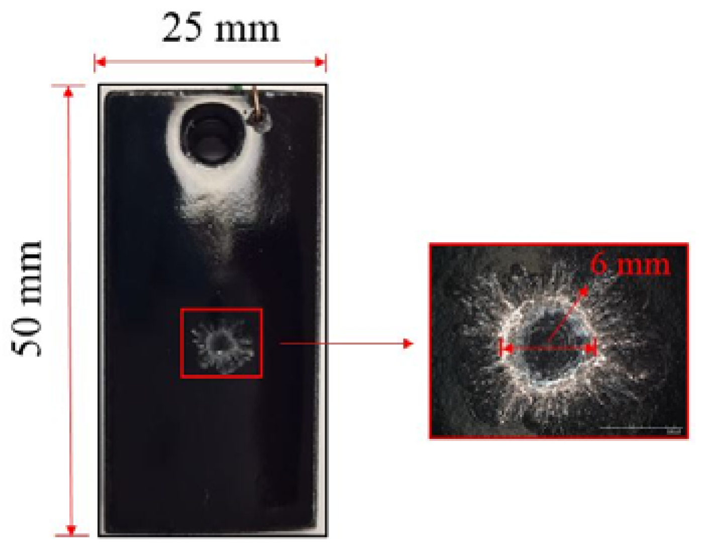 Coatings 08 00185 g001