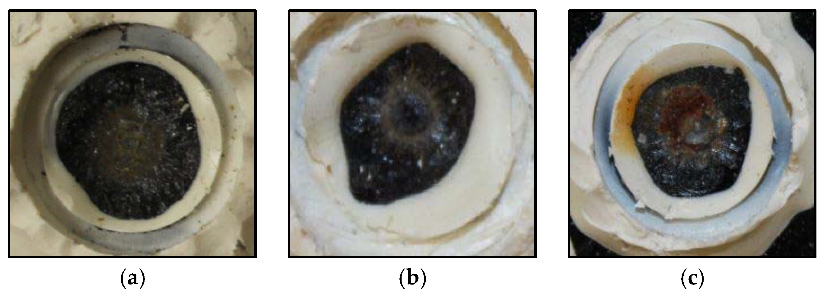 Coatings 08 00185 g012