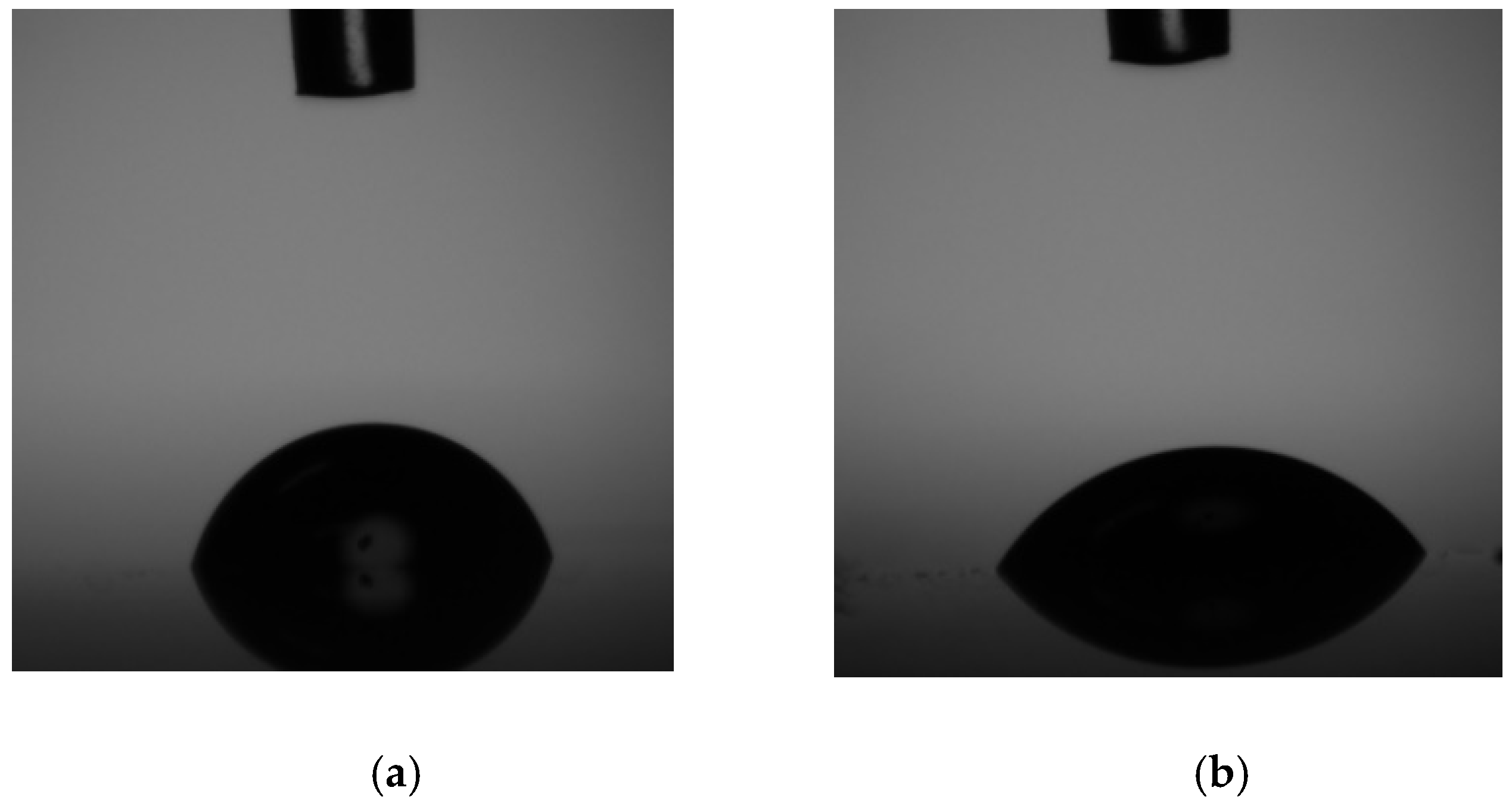 Coatings 08 00186 g005