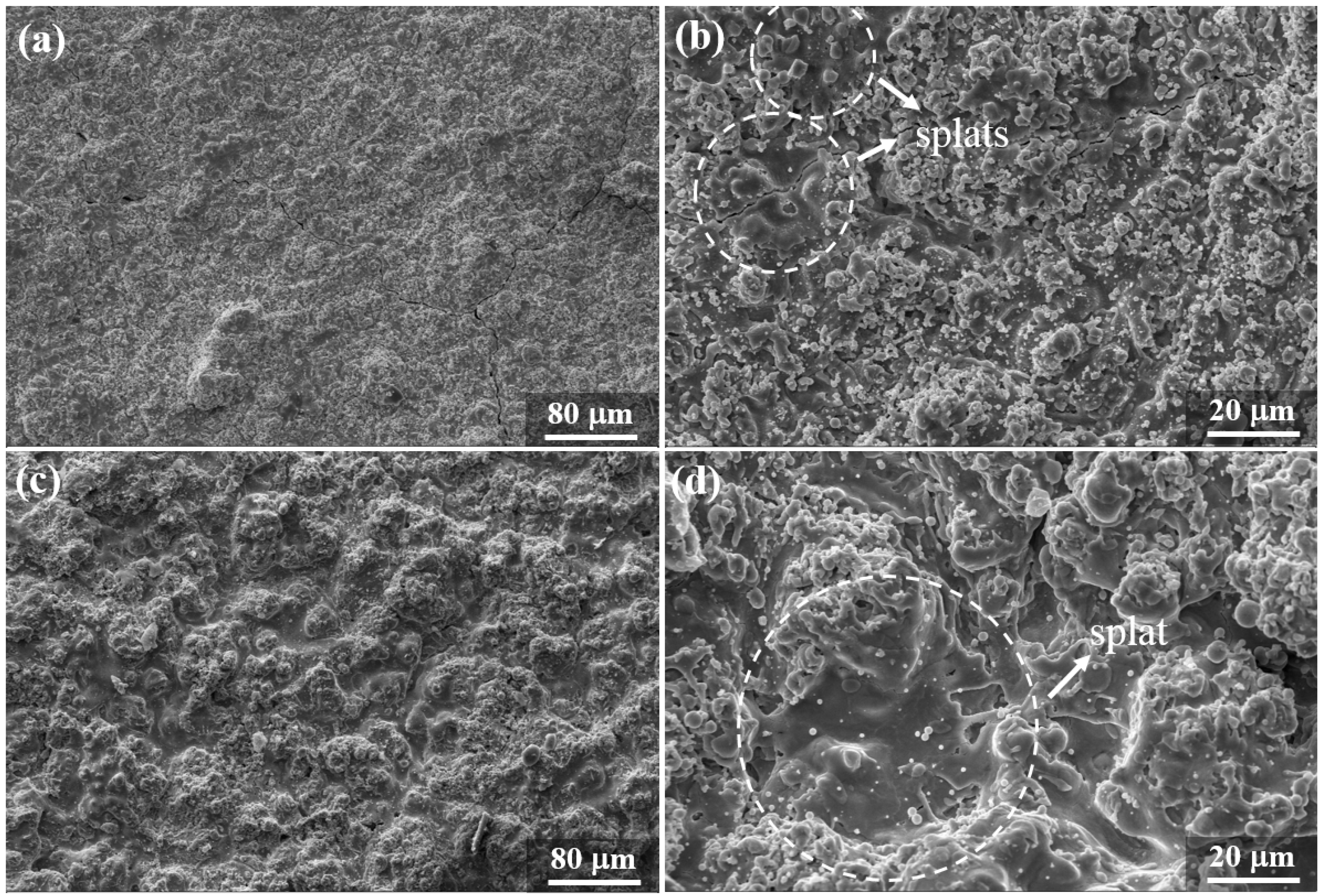 Coatings 08 00187 g003