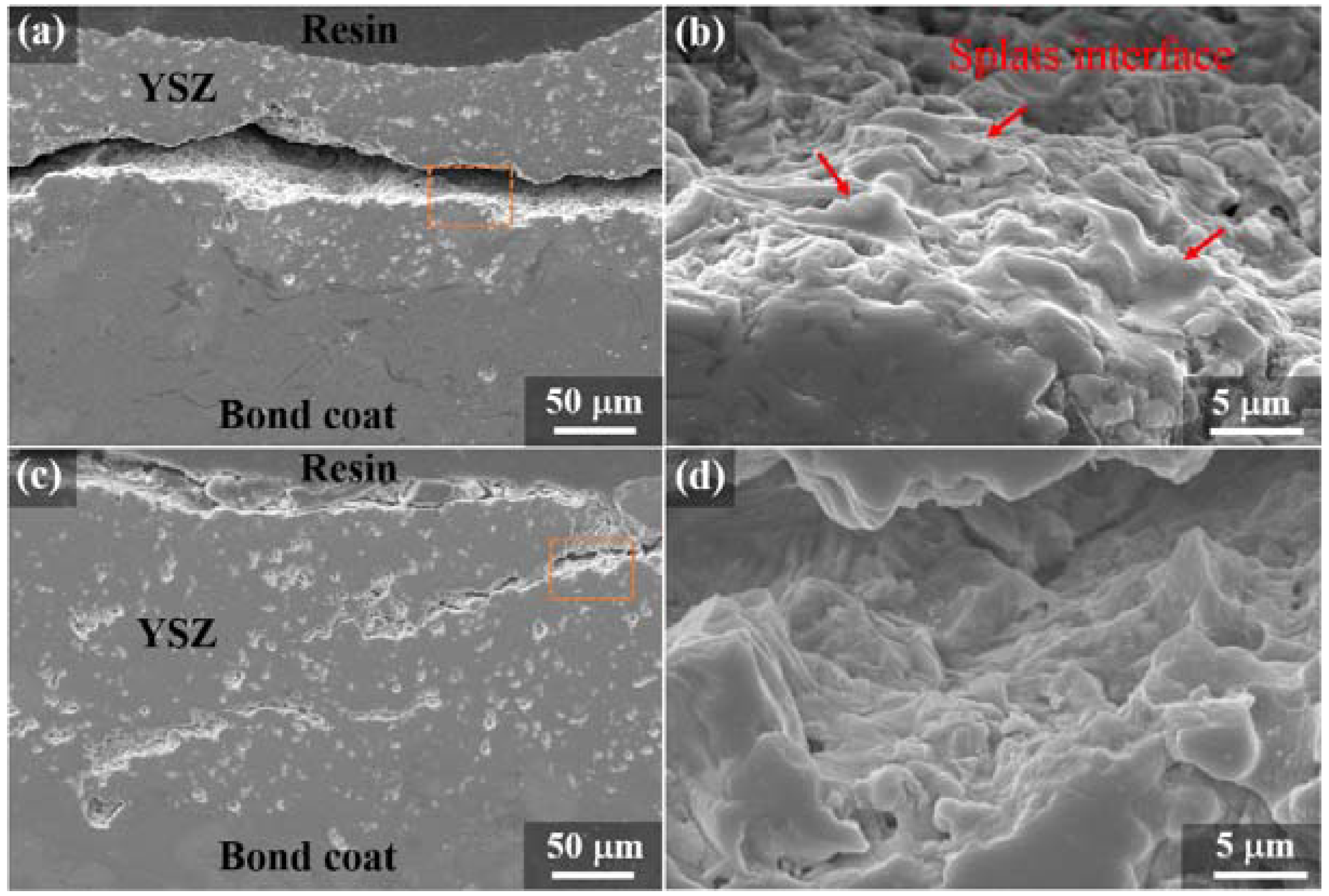 Coatings 08 00187 g011