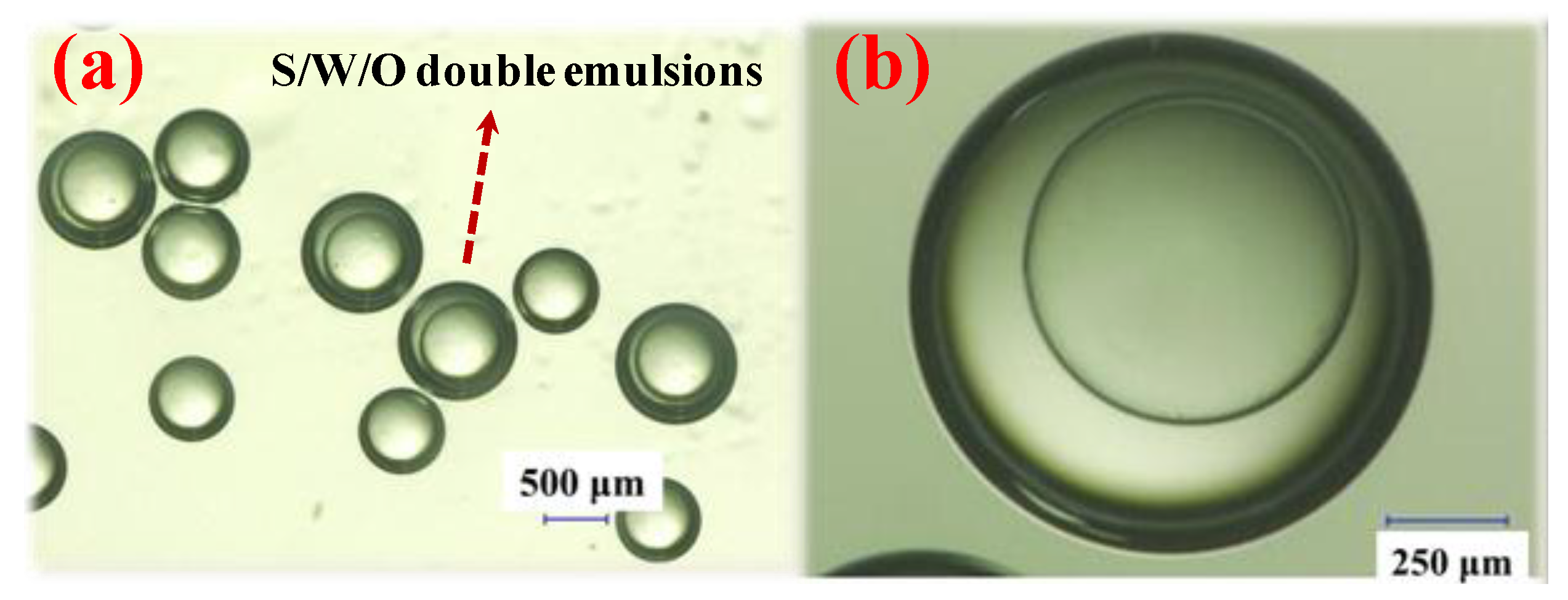 Coatings 08 00191 g0a5