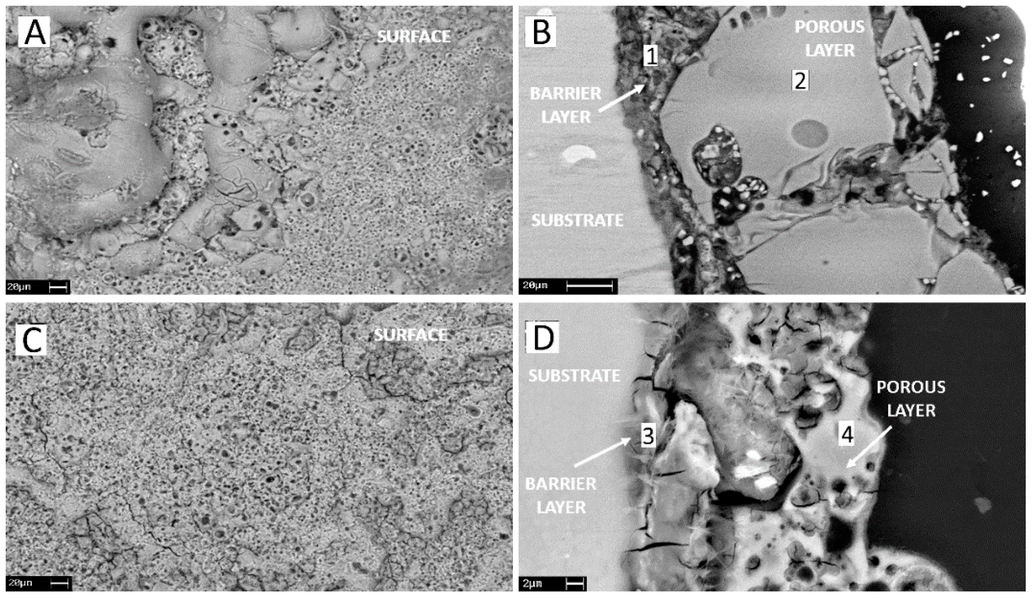 Coatings 08 00202 g003