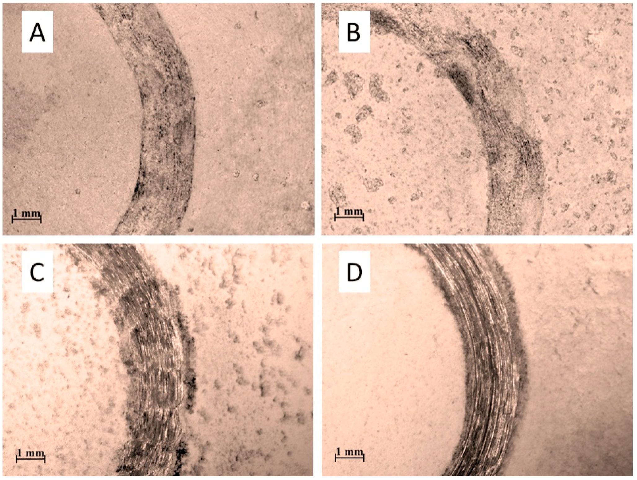 Coatings 08 00202 g009