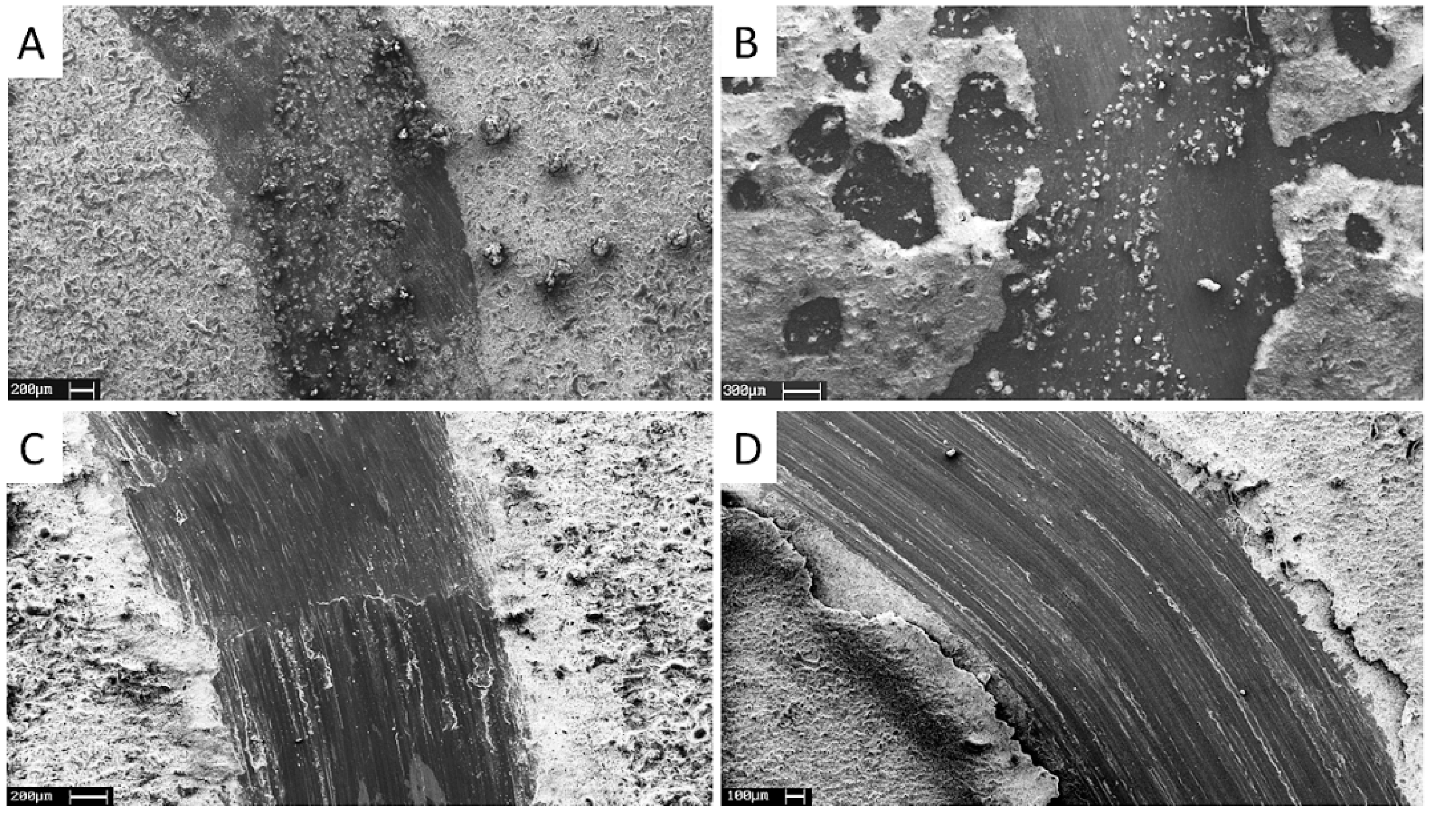 Coatings 08 00202 g010