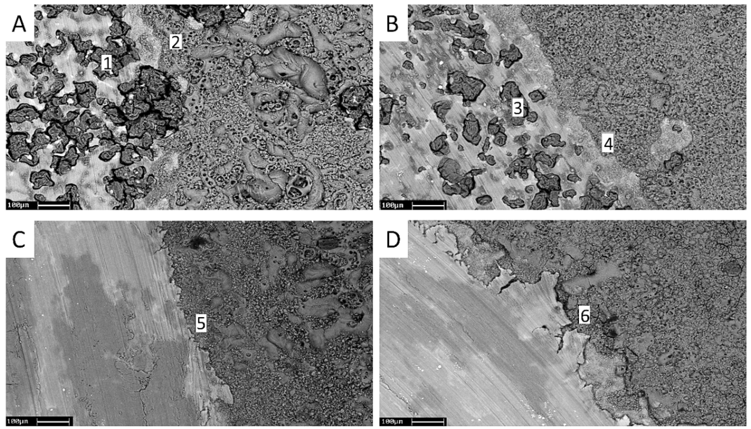 Coatings 08 00202 g011