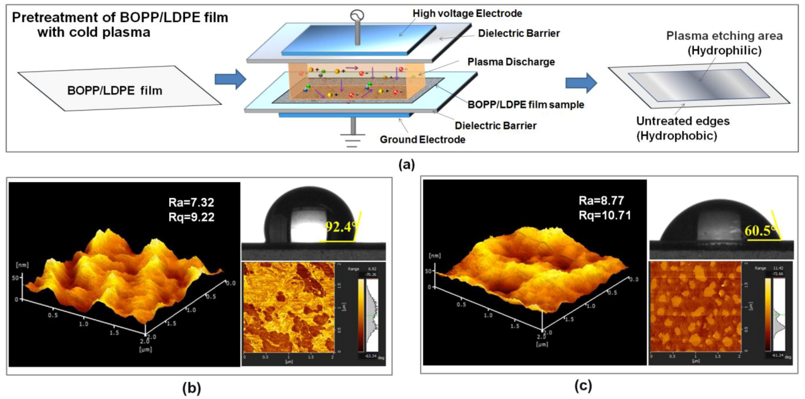 Coatings 08 00207 g001