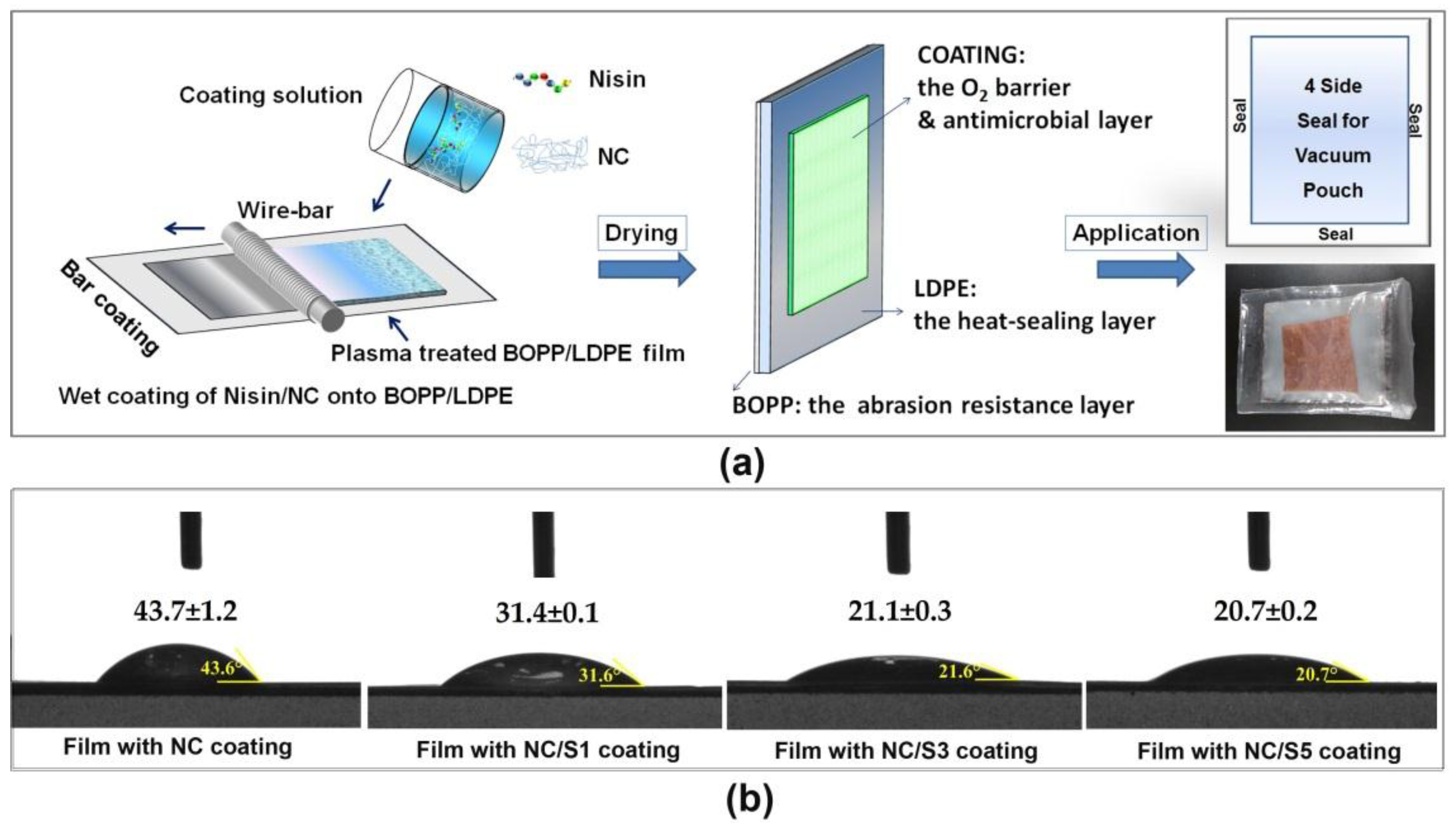 Coatings 08 00207 g002