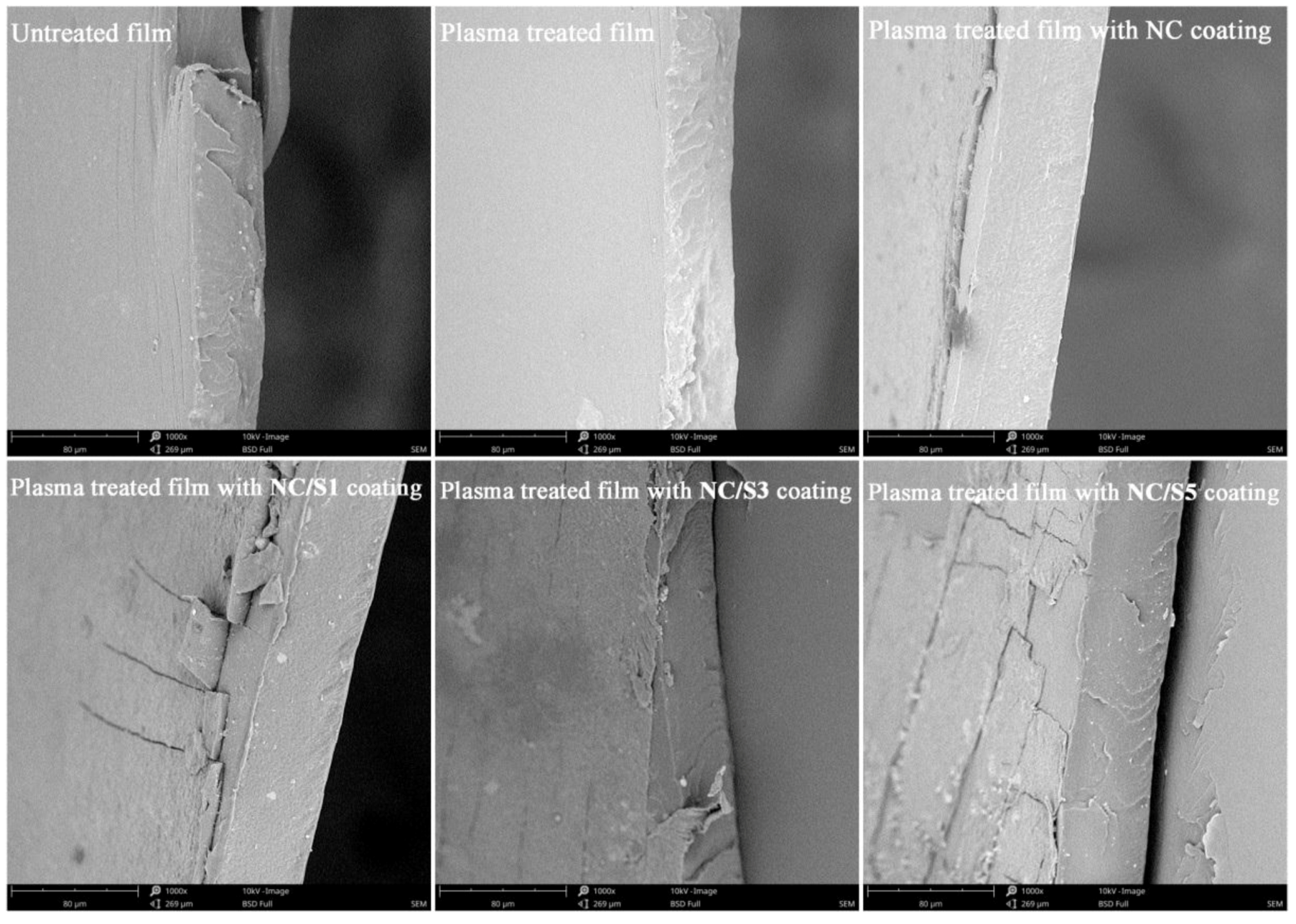 Coatings 08 00207 g005