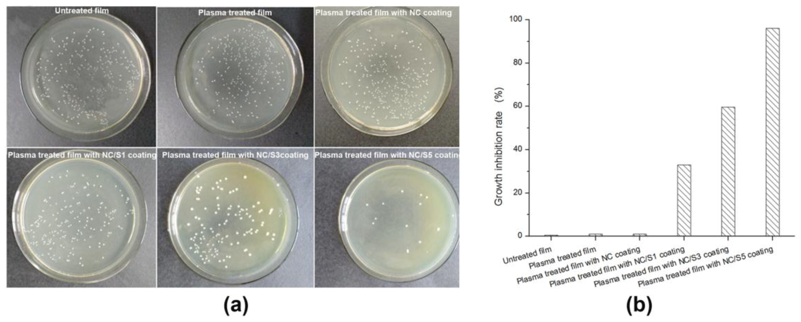 Coatings 08 00207 g006